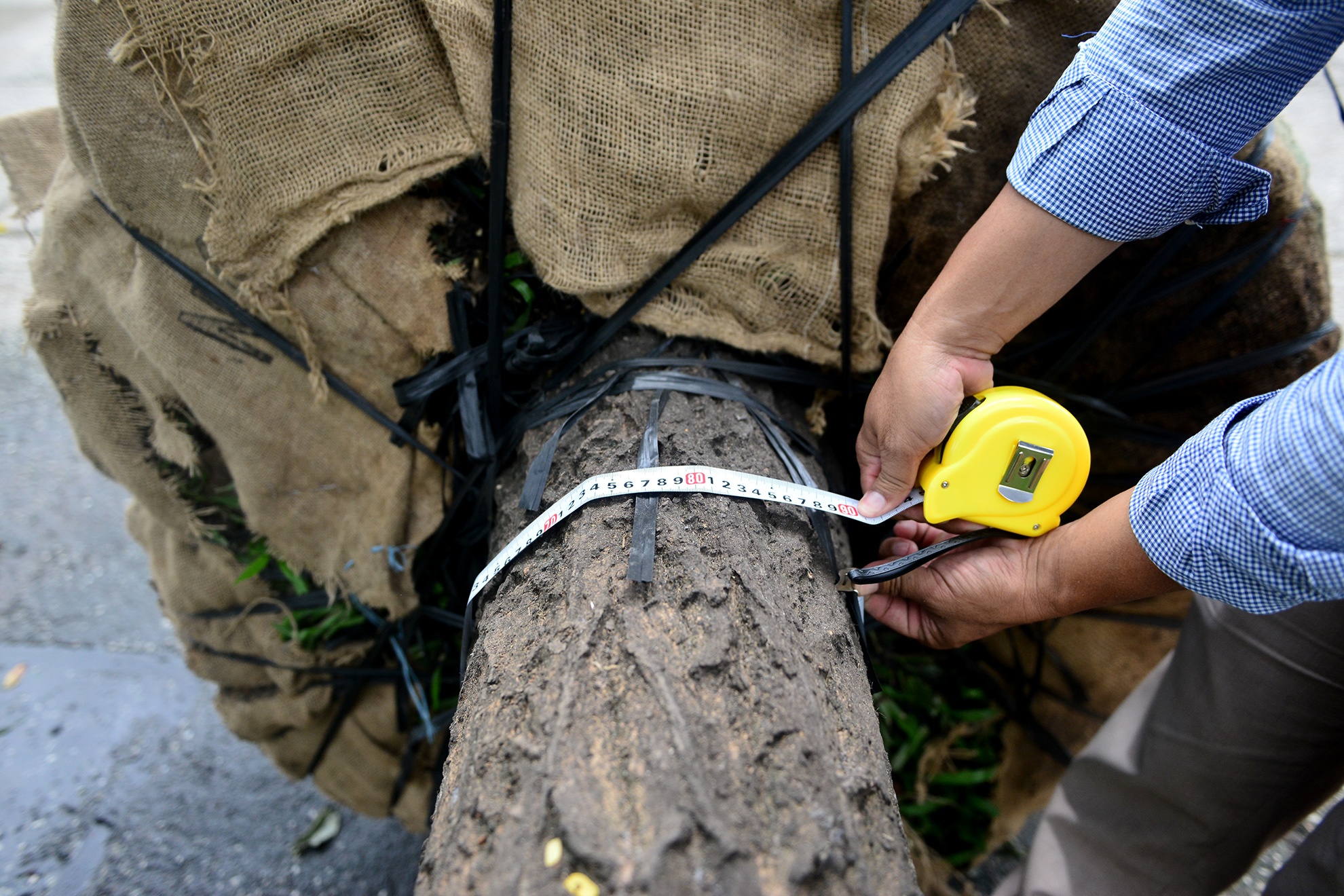 don bung cay xanh xay ga metro Ben Thanh anh 9