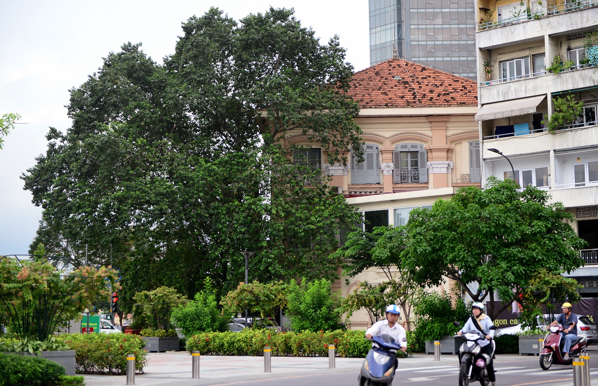 cong trinh kien truc co tren pho di bo Sai Gon anh 15