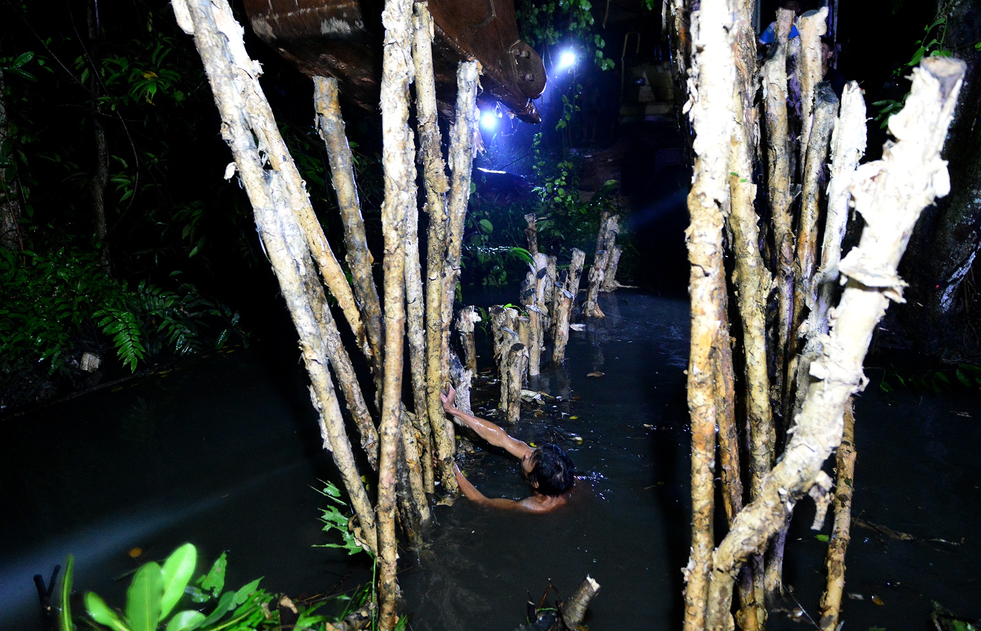 vo bo bao gay ngap o Sai Gon anh 7