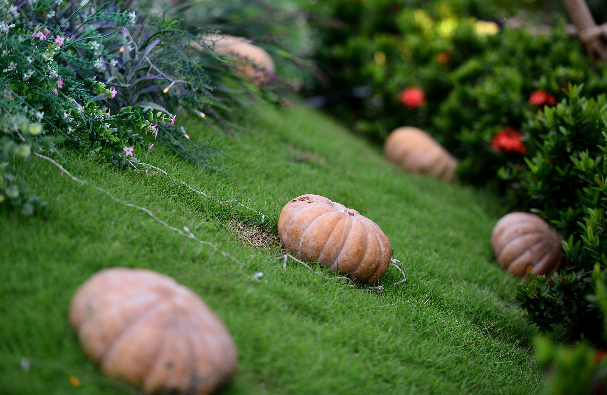 le hoi Halloween o Sai Gon anh 4