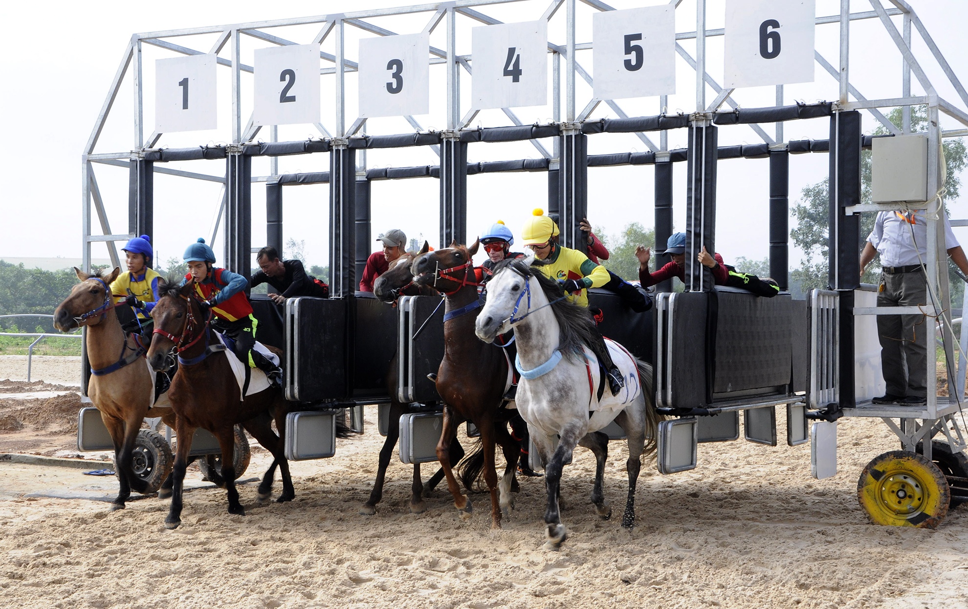 truong dua cua ong Dung lo voi anh 8