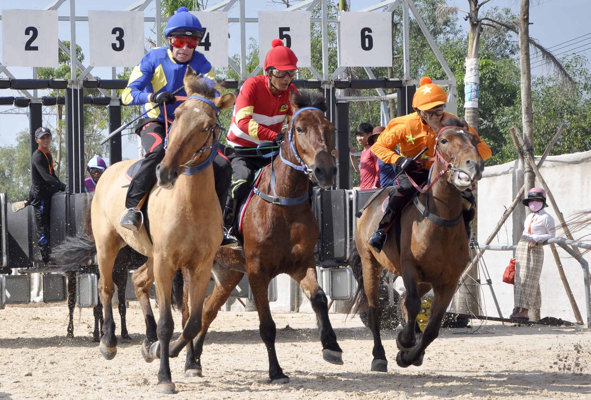 Truong dua ngua Dai Nam truoc ngay mo cua hinh anh