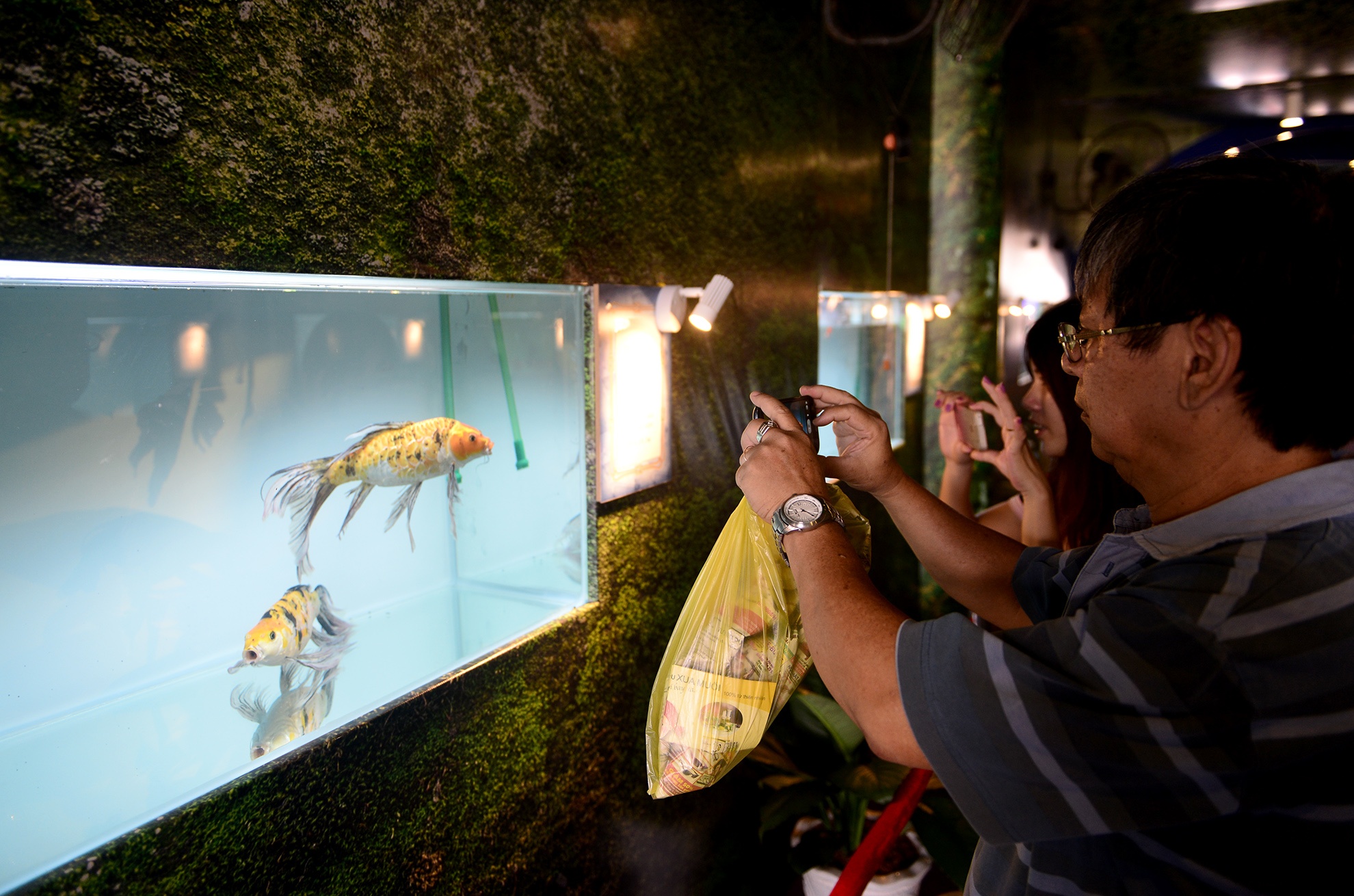 chuoi khong lo tai hoi cho nong nghiep o TP.HCM anh 11