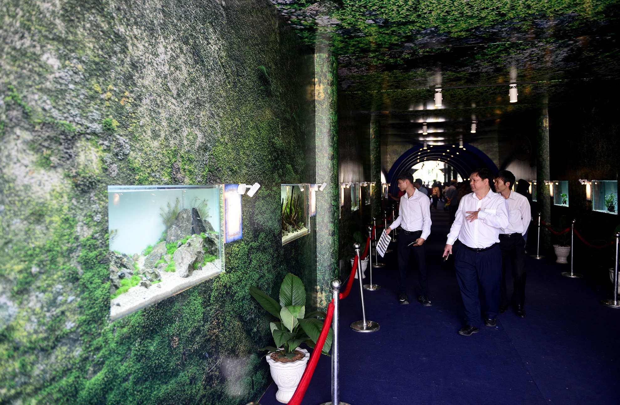 chuoi khong lo tai hoi cho nong nghiep o TP.HCM anh 10