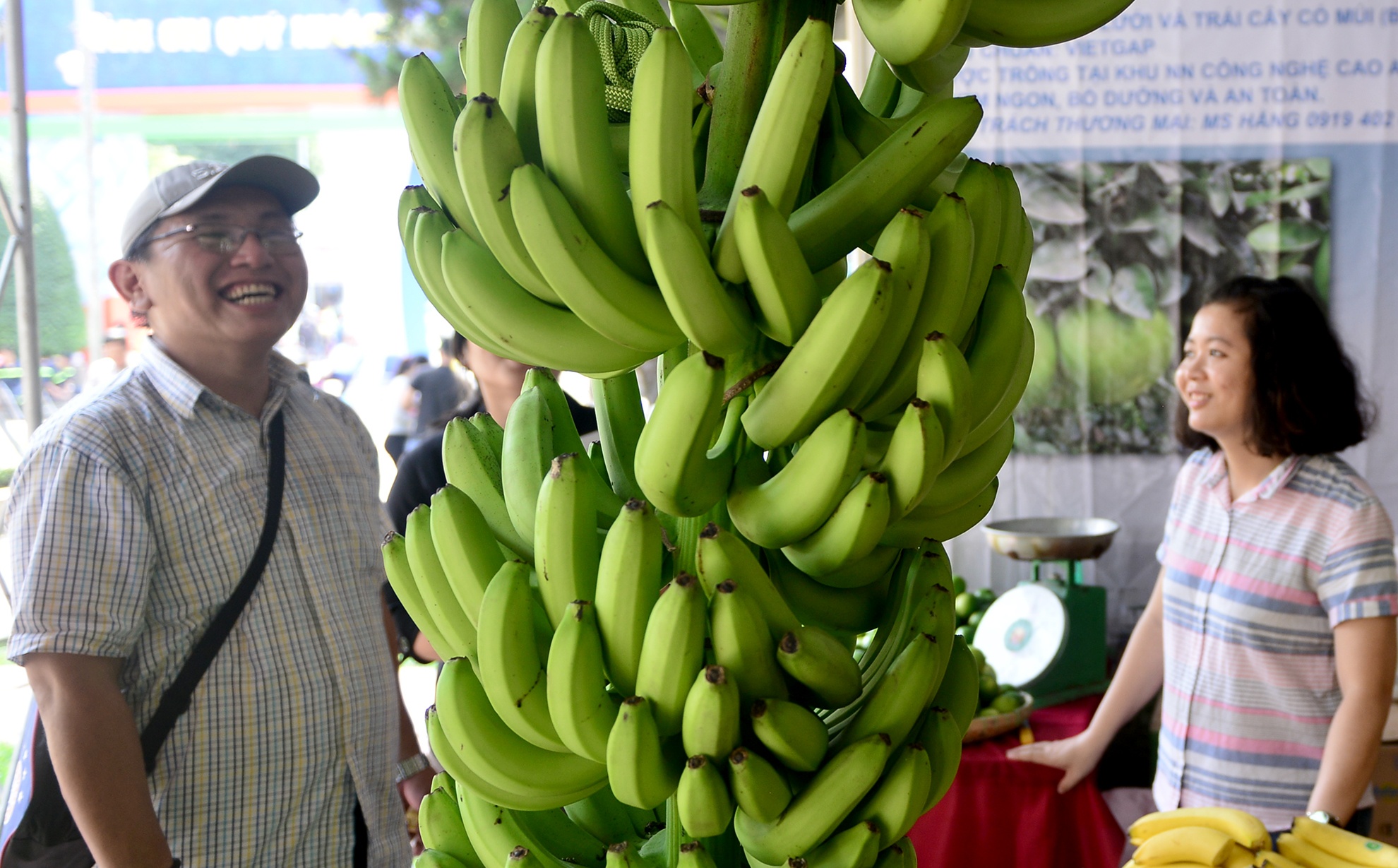 Chuoi khong lo tai hoi cho nong nghiep Sai Gon hinh anh