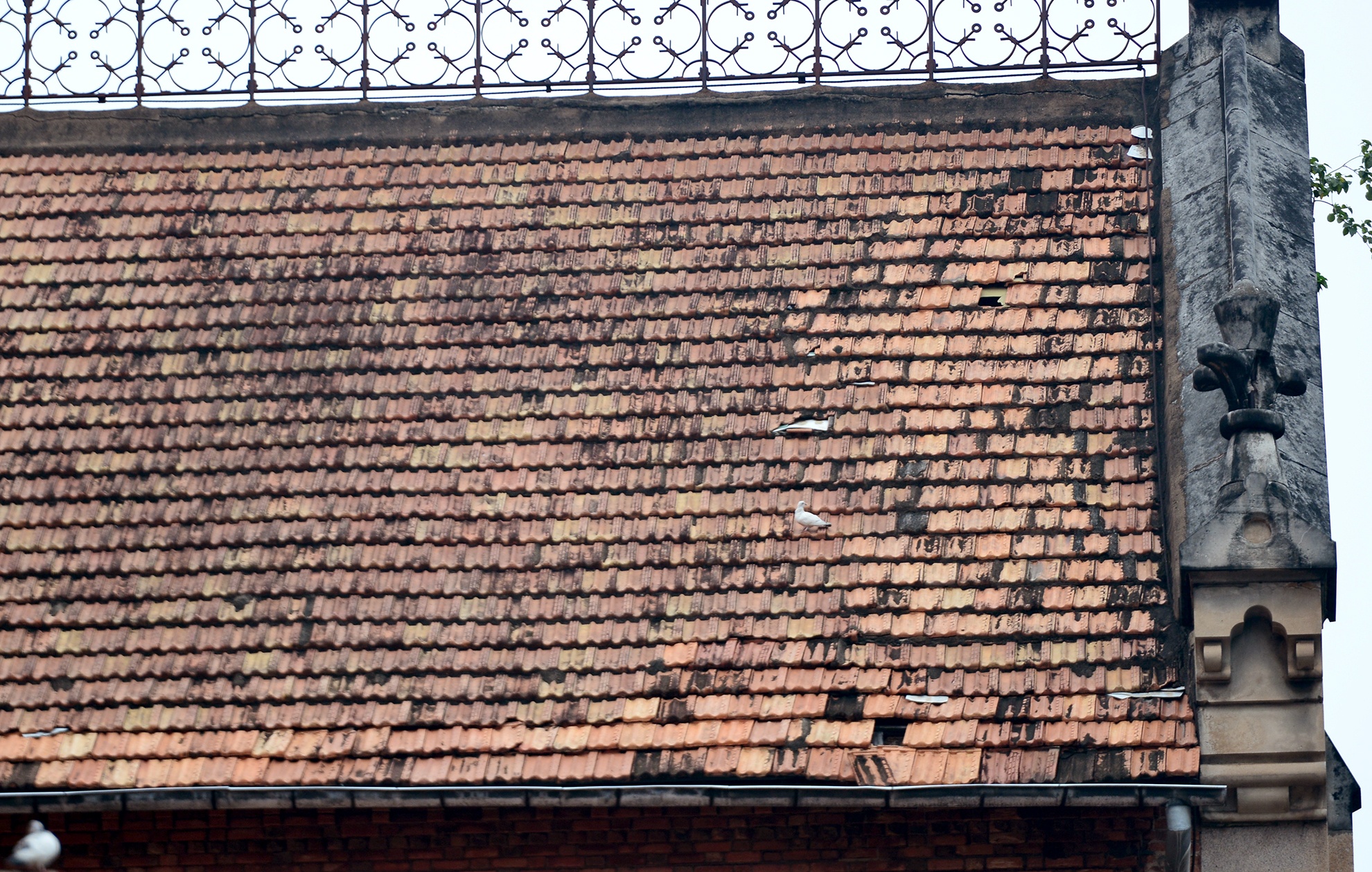 trung tu nha tho Duc Ba dang xuong cap anh 5