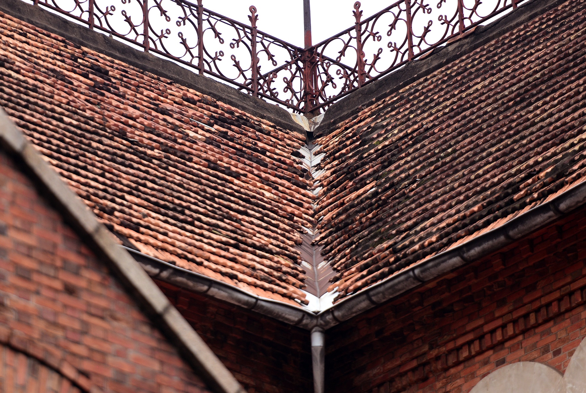 trung tu nha tho Duc Ba dang xuong cap anh 6