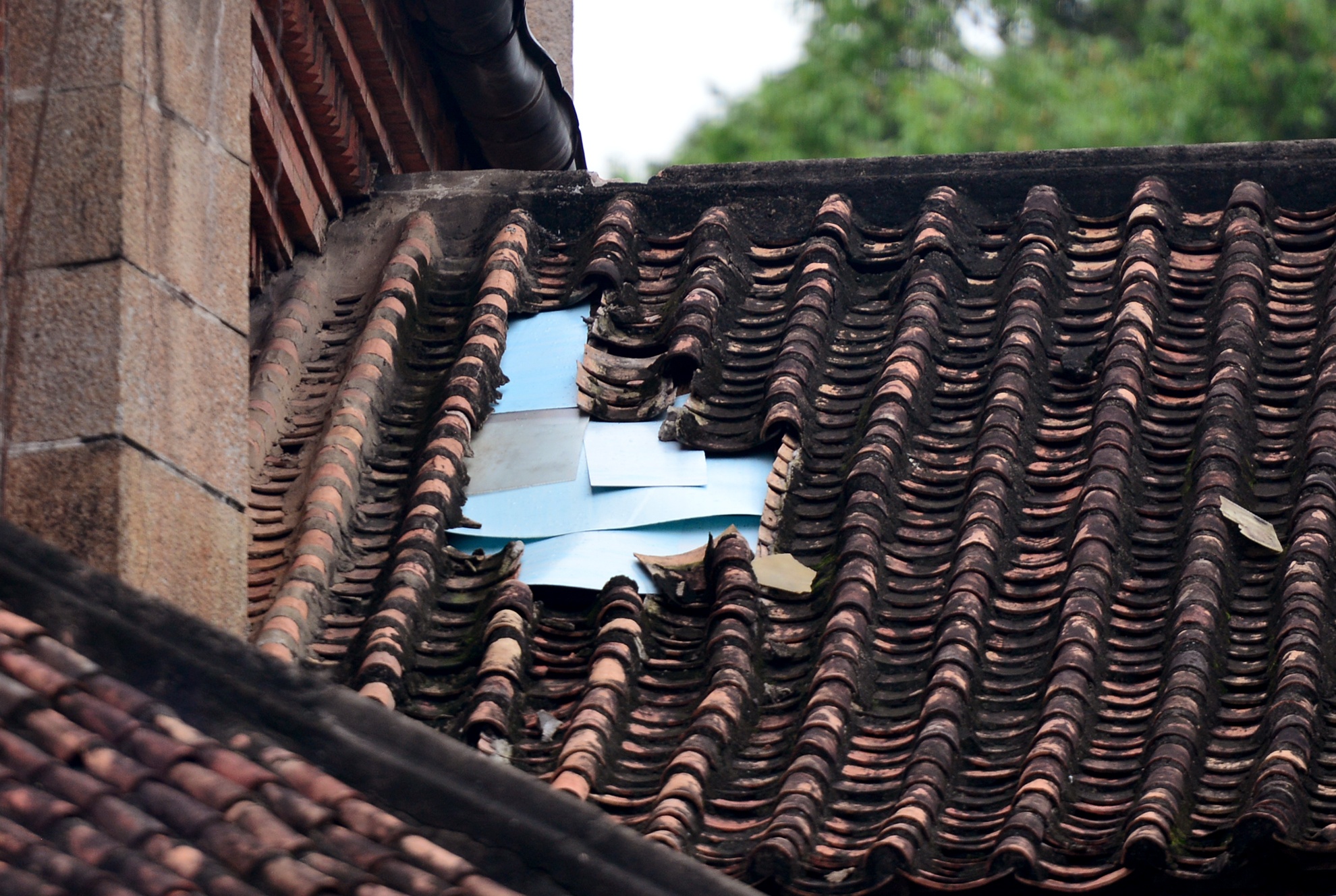 trung tu nha tho Duc Ba dang xuong cap anh 7