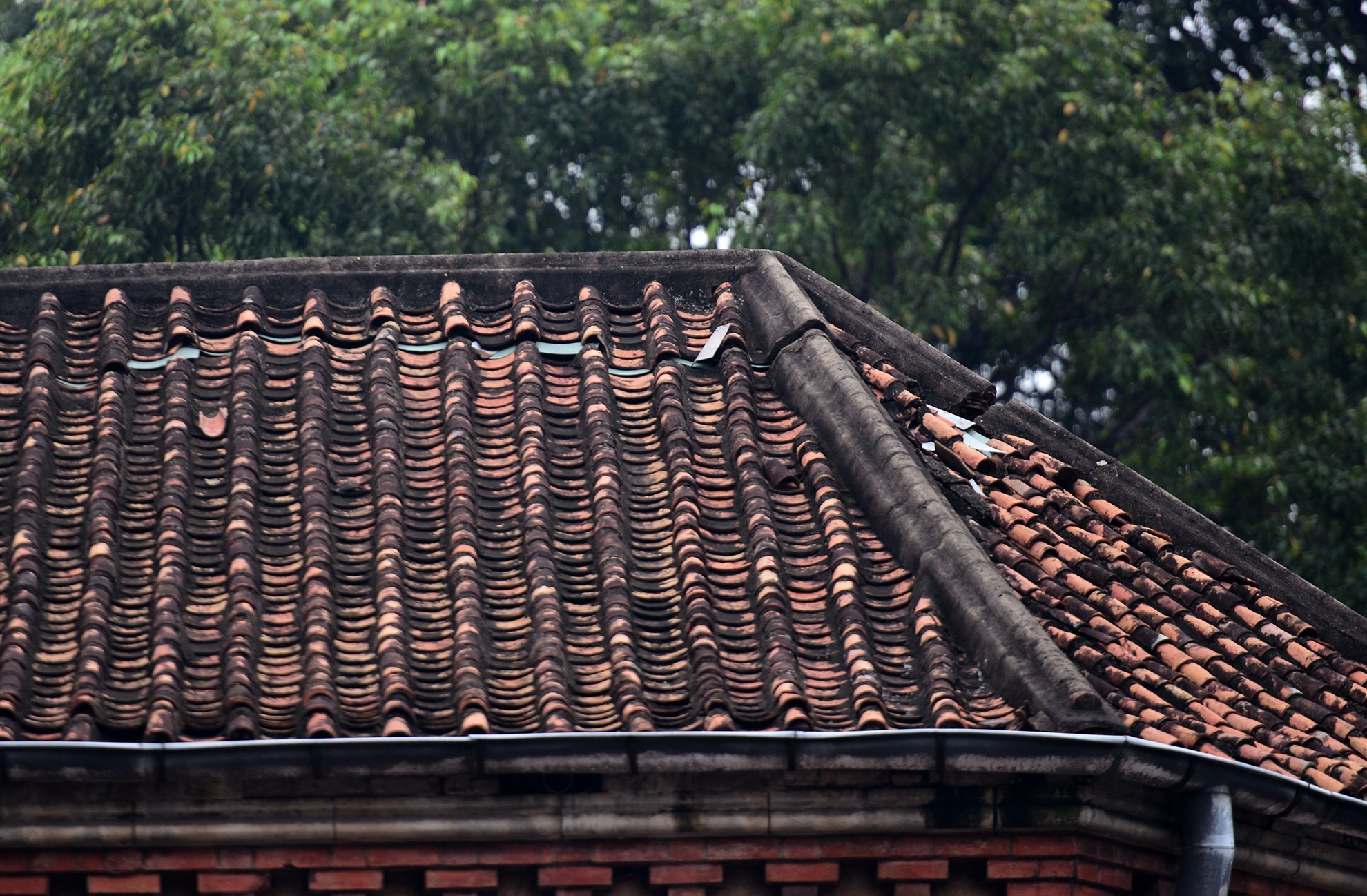 trung tu nha tho Duc Ba dang xuong cap anh 9