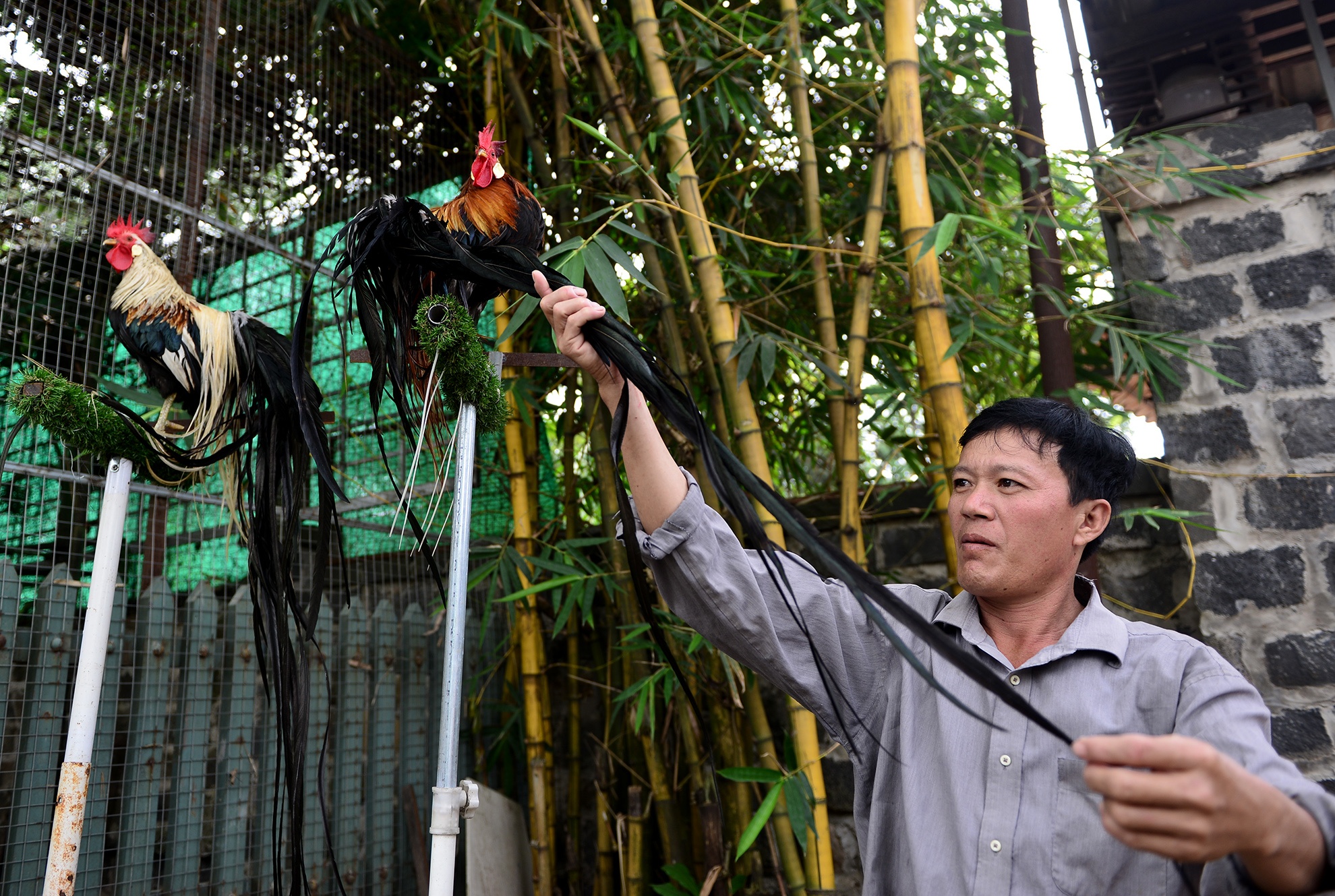 cap ga duoi dai gan 2m anh 11