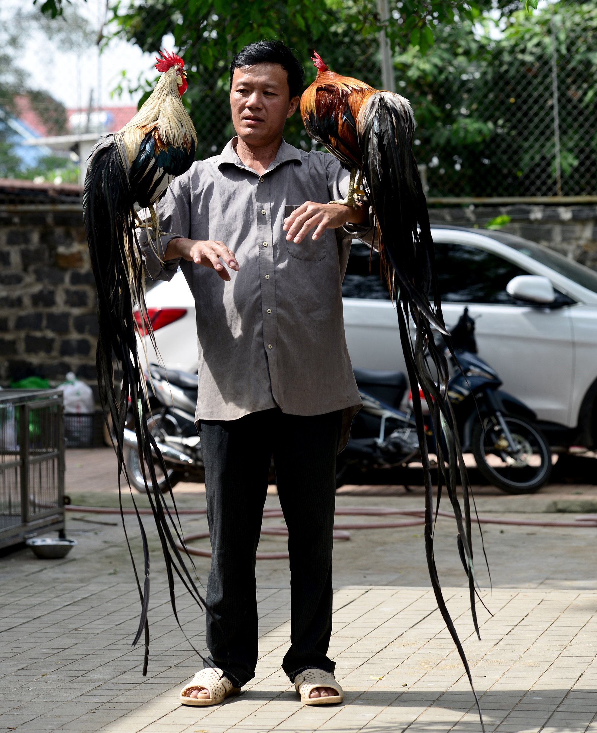 cap ga duoi dai gan 2m anh 9