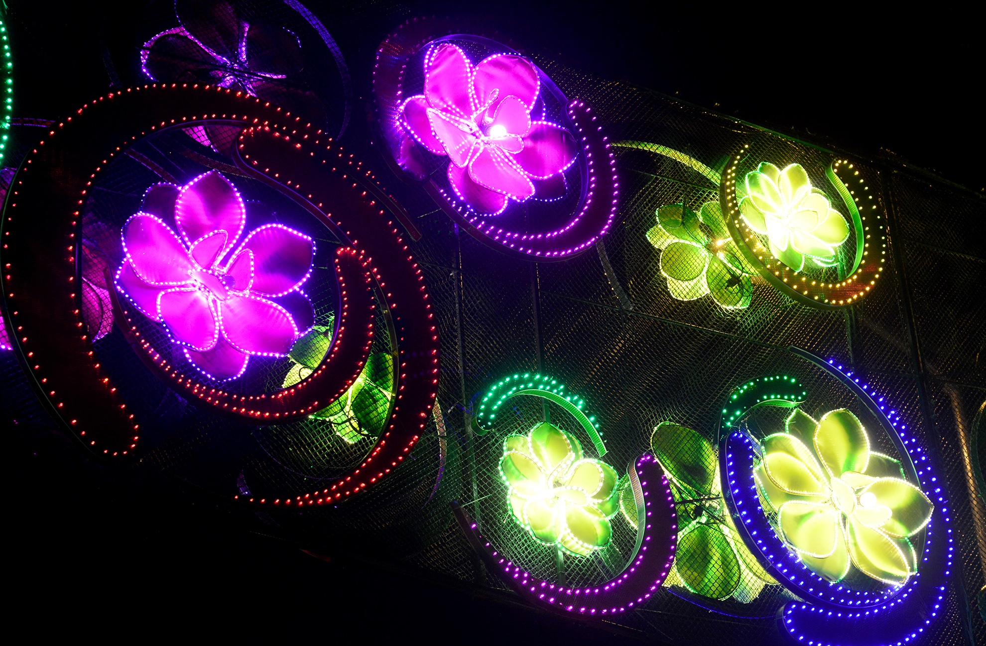 den trang tri duong Pham Ngoc Thach loe loet anh 11