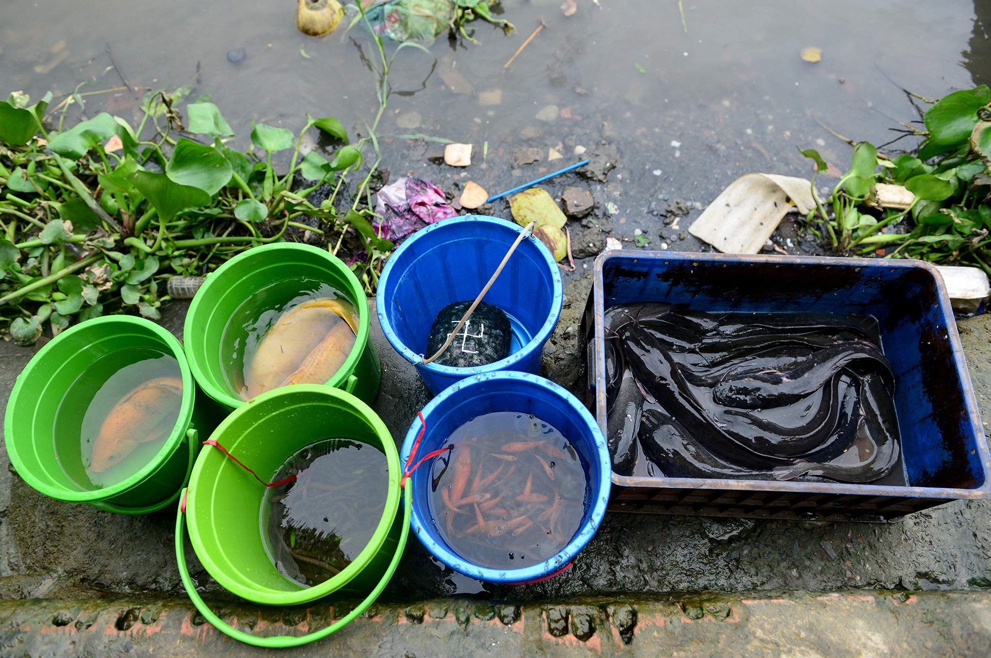 bo 25 trieu dong phong sinh cung ong Tao anh 15