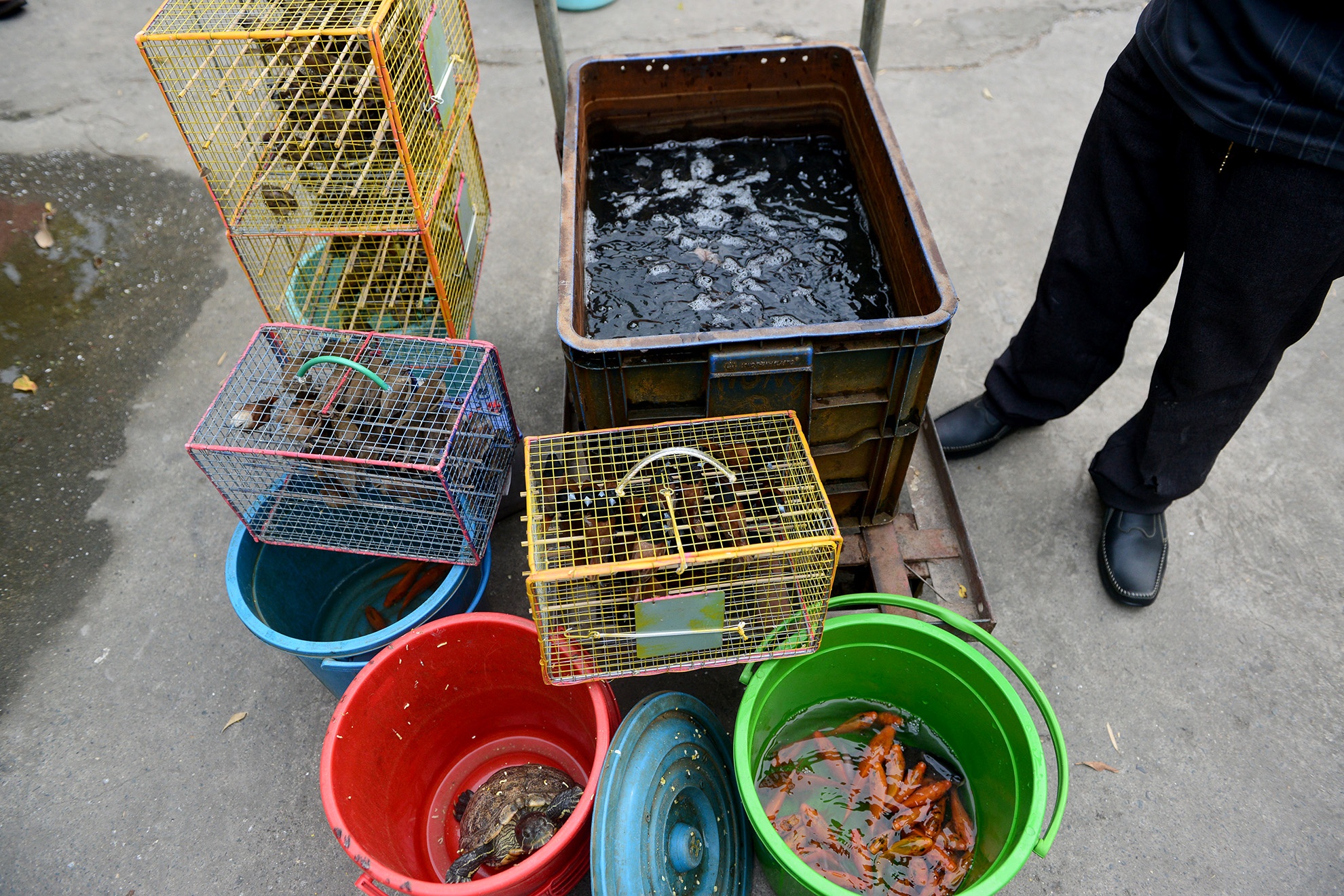 bo 25 trieu dong phong sinh cung ong Tao anh 17