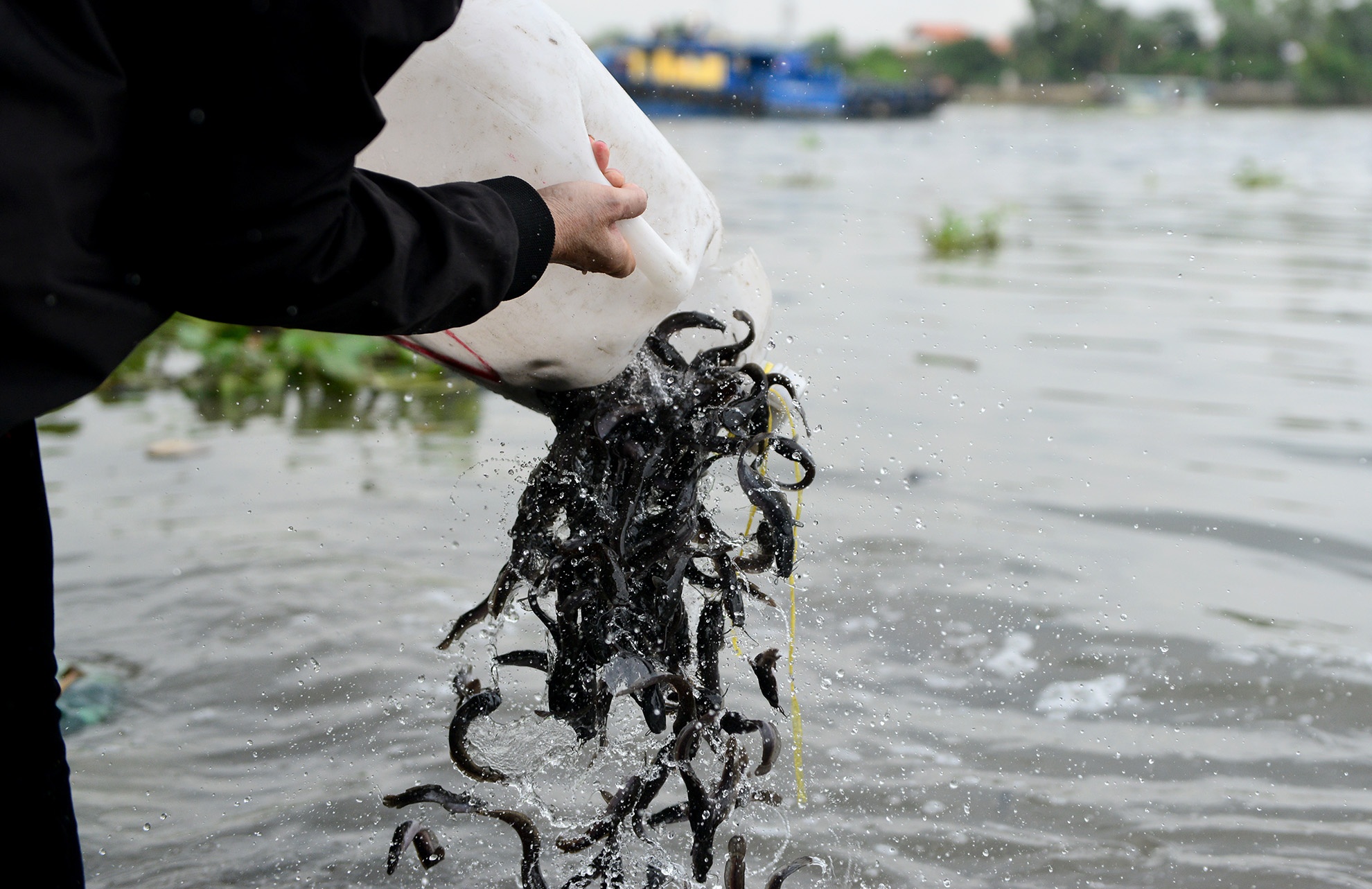 bo 25 trieu dong phong sinh cung ong Tao anh 9