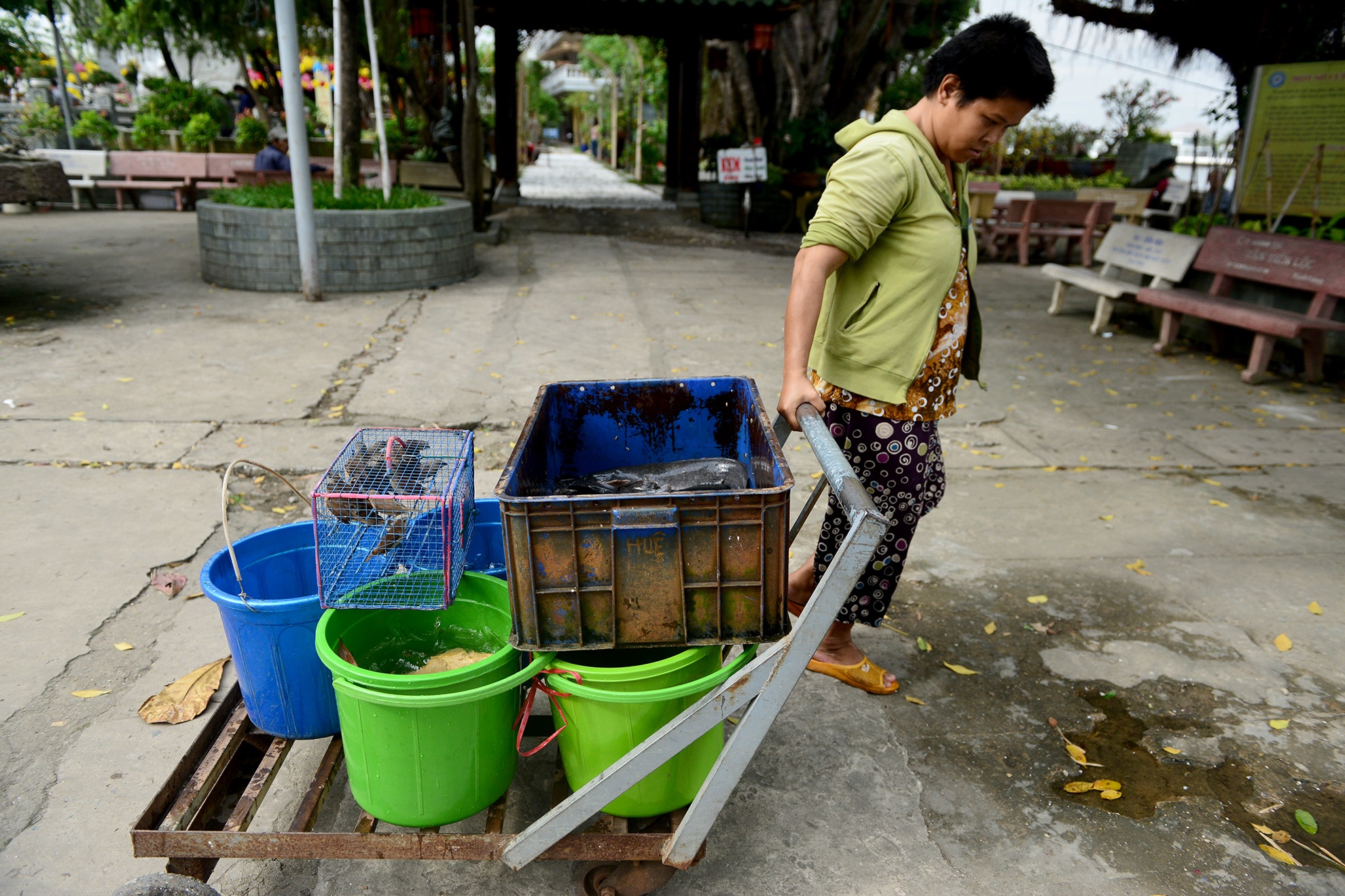 bo 25 trieu dong phong sinh cung ong Tao anh 11