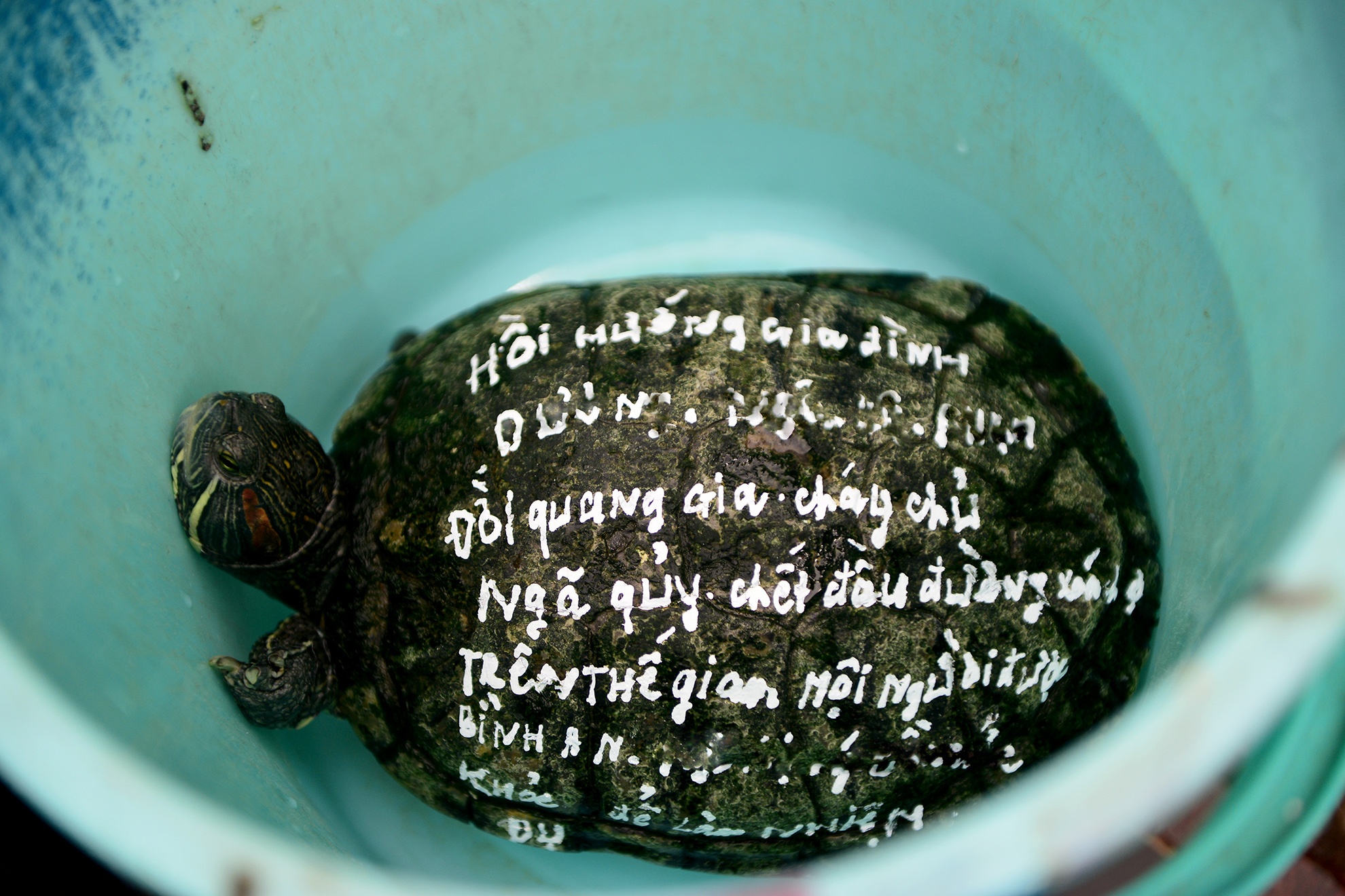 bo 25 trieu dong phong sinh cung ong Tao anh 12