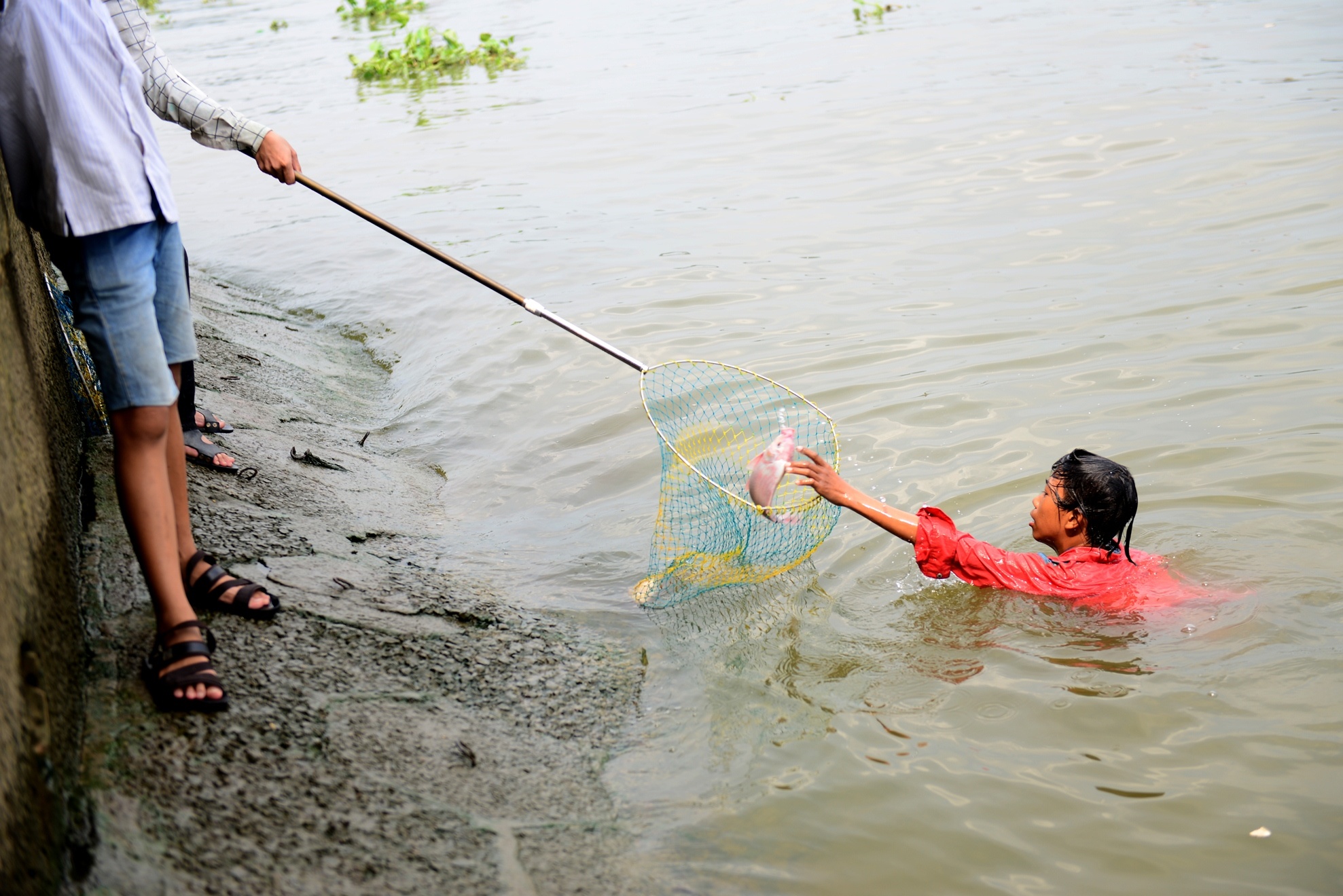 chich dien bat ca vua phong sinh anh 5