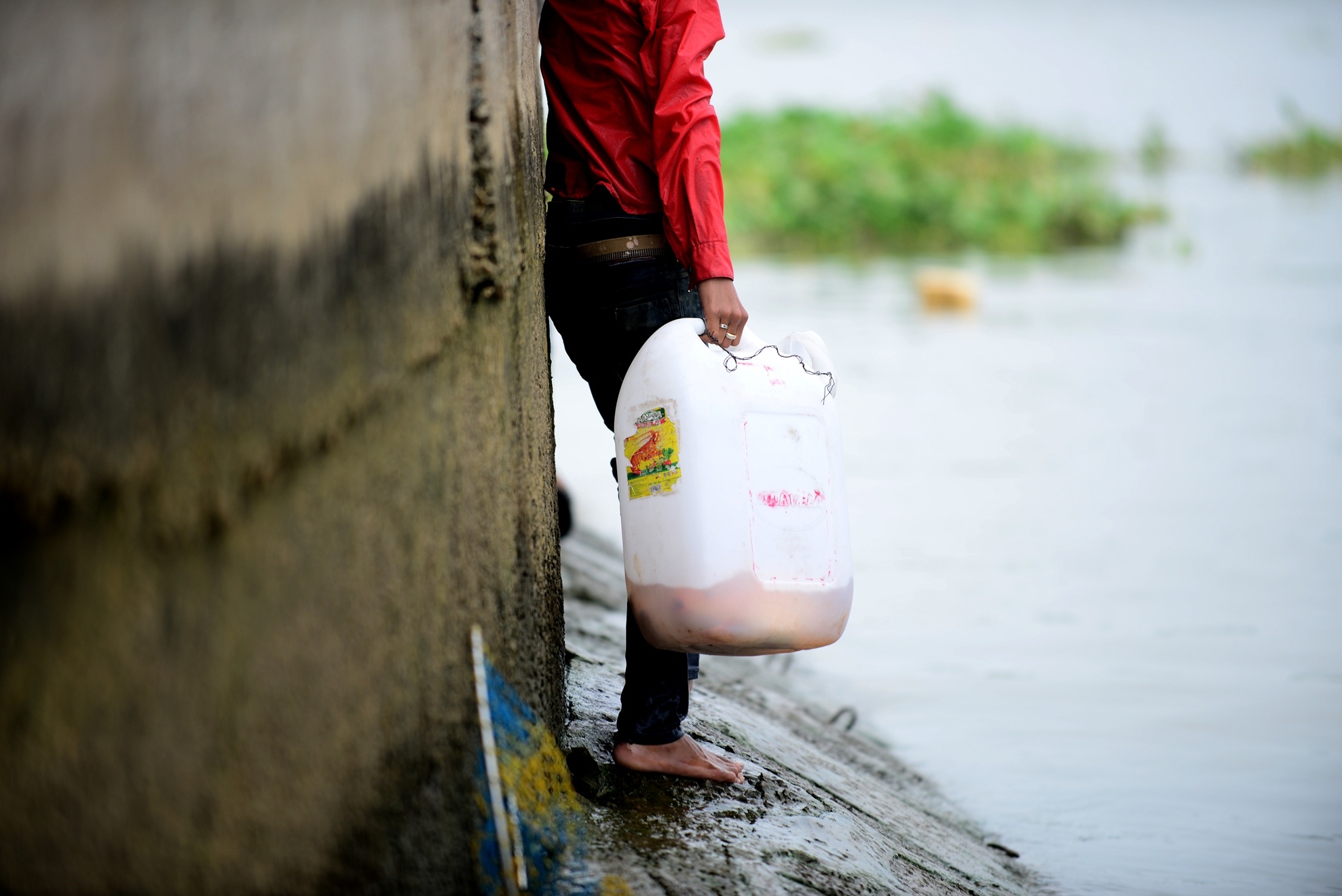 chich dien bat ca vua phong sinh anh 9