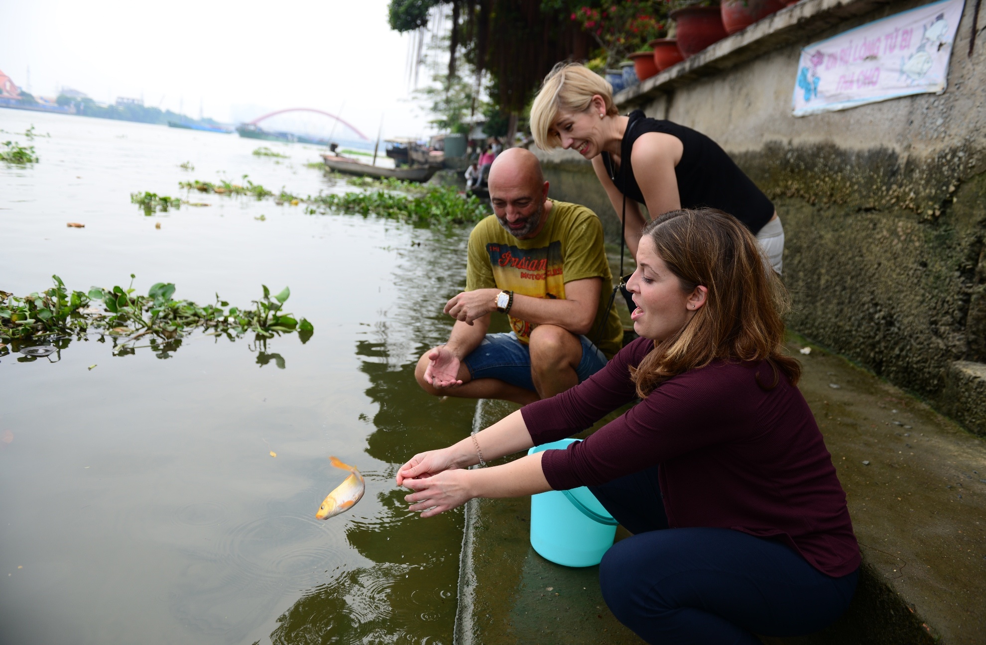 chich dien bat ca vua phong sinh anh 2