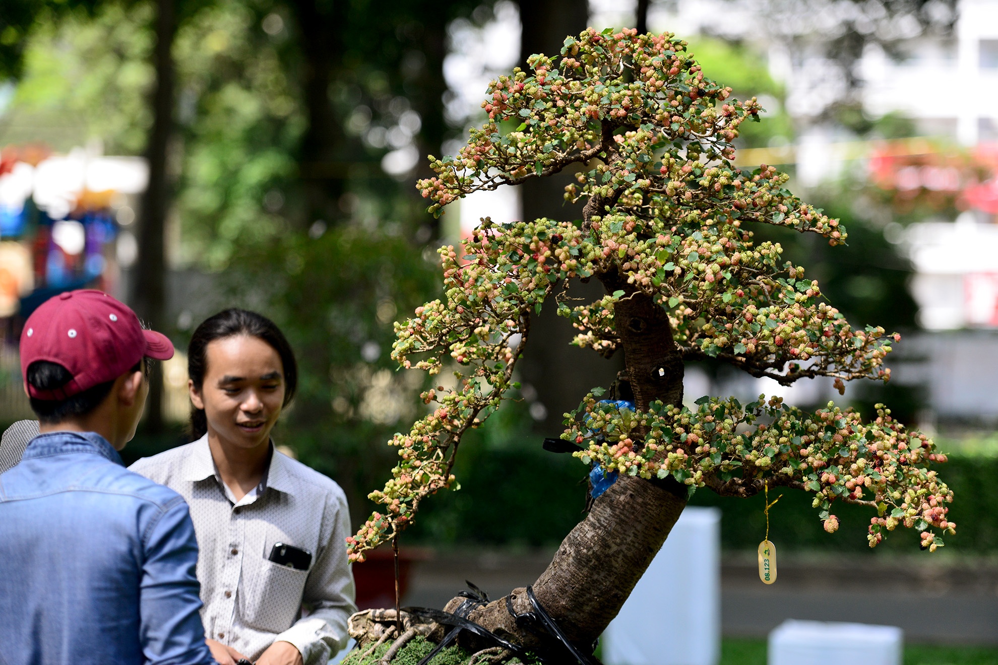 nhieu ky hoa di thao do ve hoi hoa xuan Sai Gon anh 12