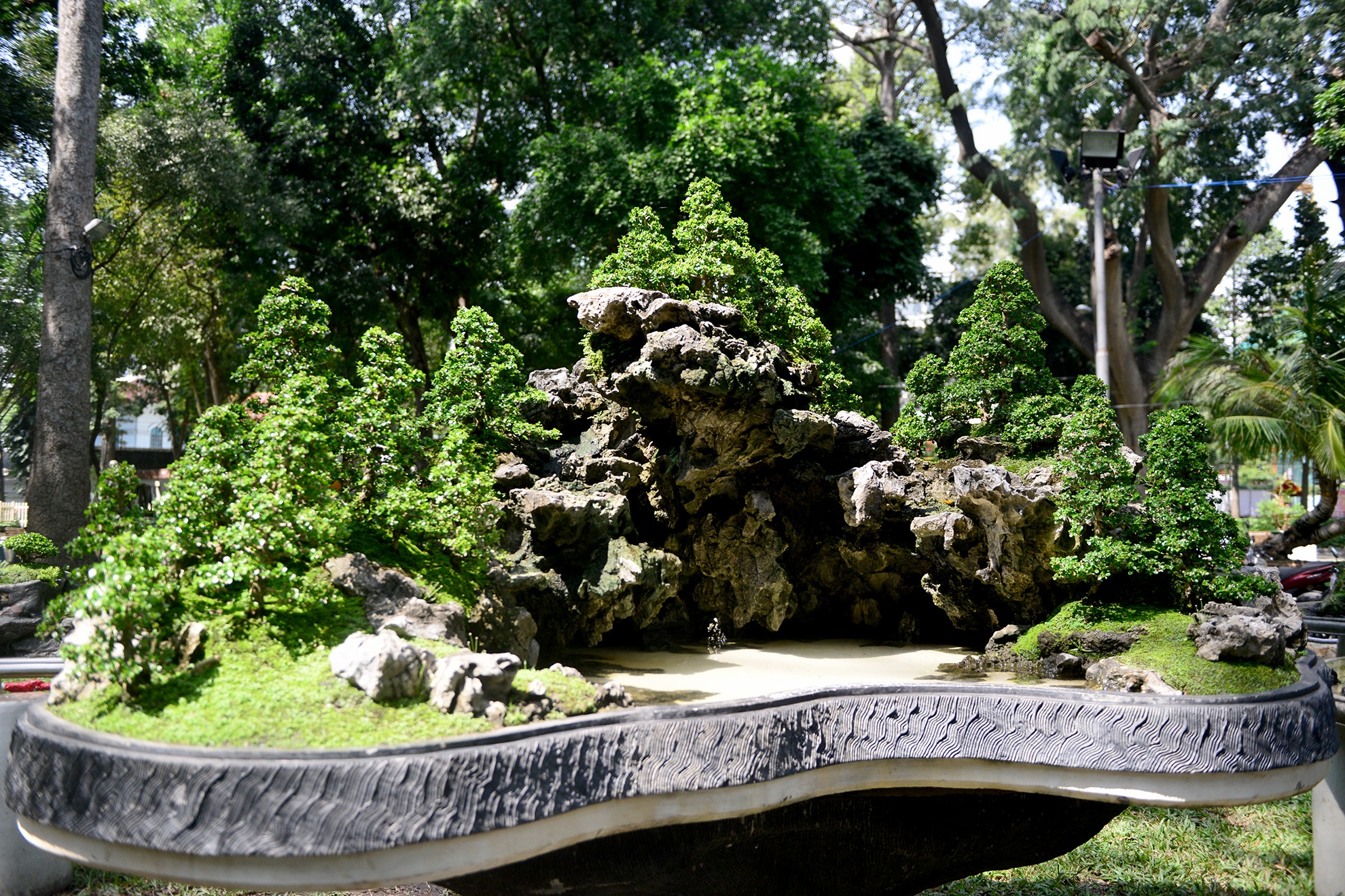 nhieu ky hoa di thao do ve hoi hoa xuan Sai Gon anh 2