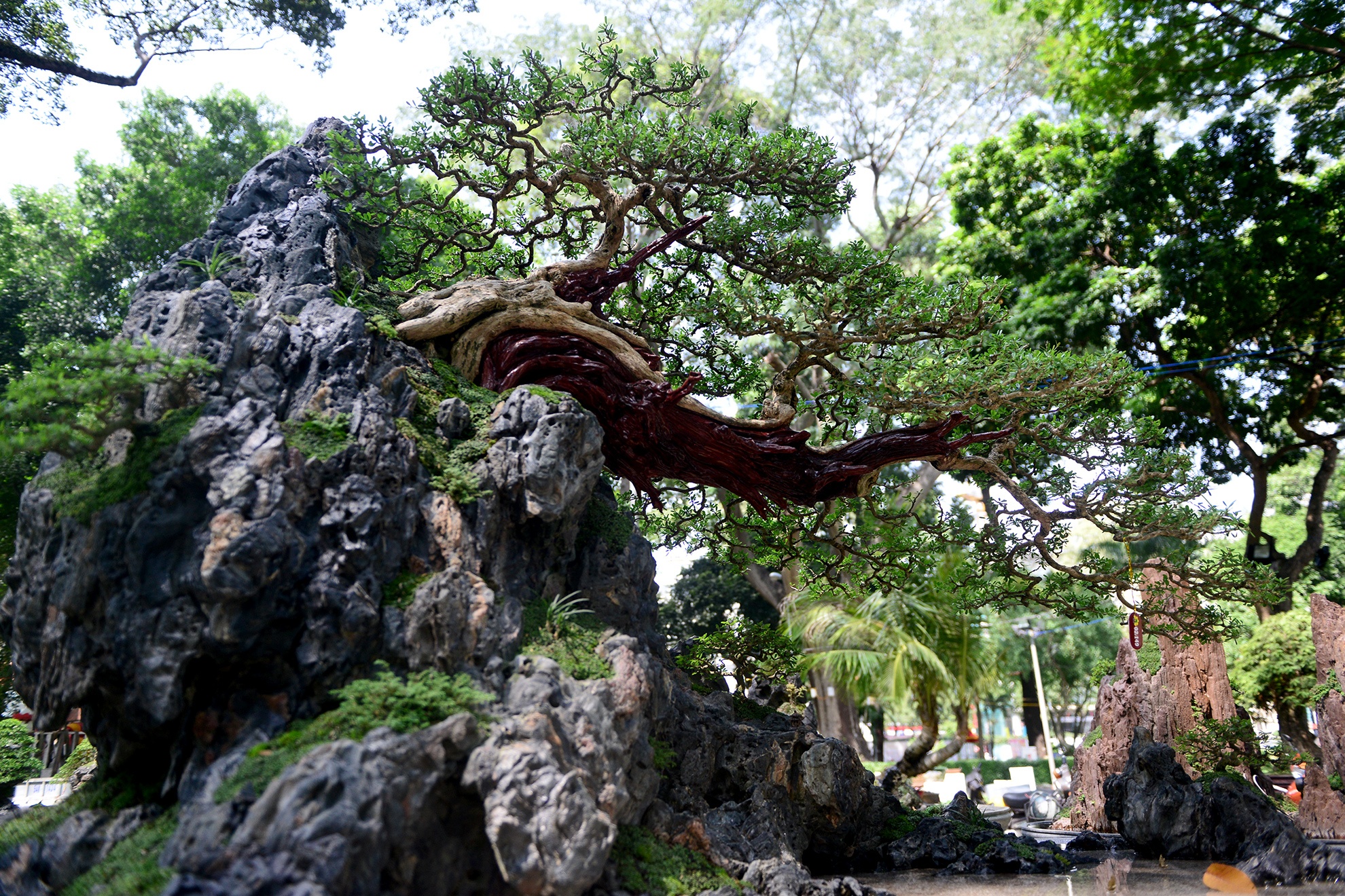 nhieu ky hoa di thao do ve hoi hoa xuan Sai Gon anh 4