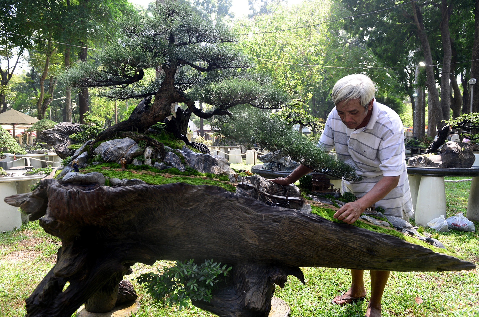 nhieu ky hoa di thao do ve hoi hoa xuan Sai Gon anh 6