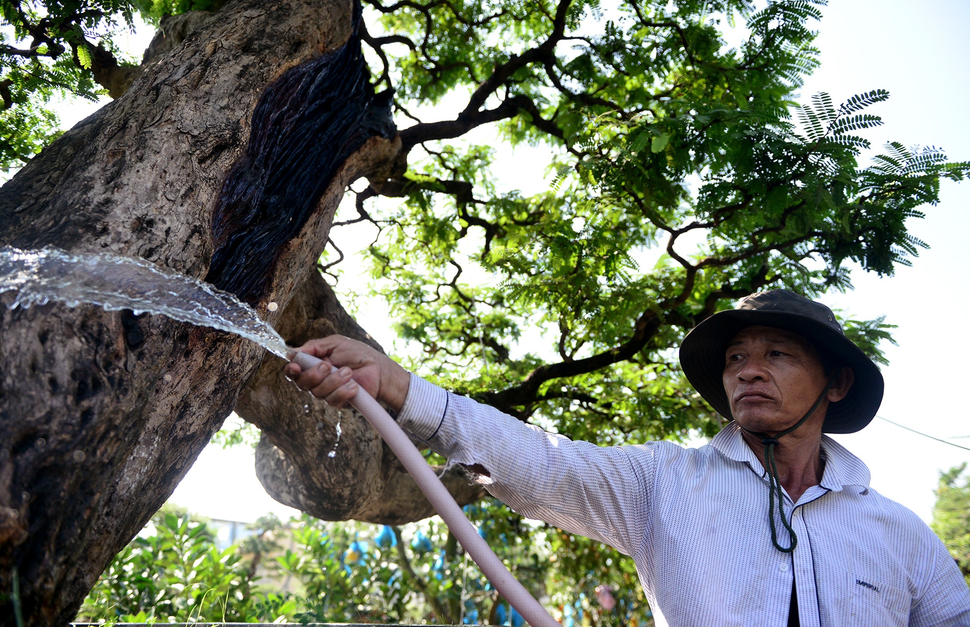 Cay me dang thac do may bay gia 3,5 ty dong o Sai Gon hinh anh