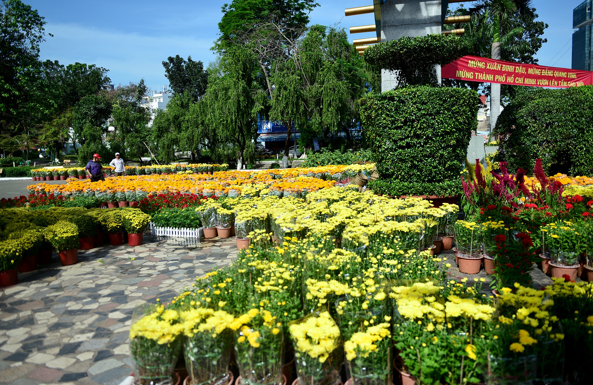 cho hoa tet sai gon anh 11