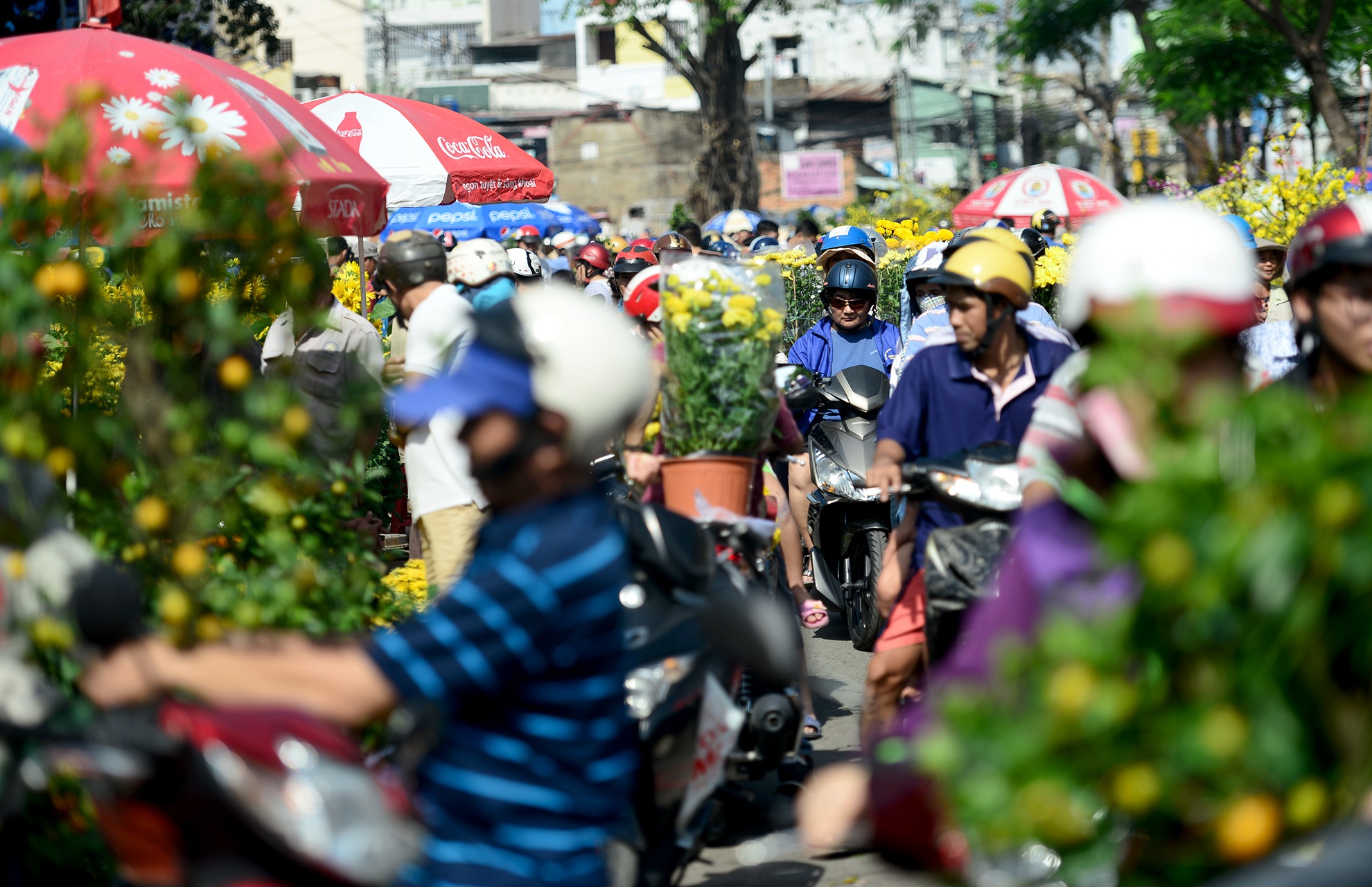 cho hoa tet sai gon anh 12