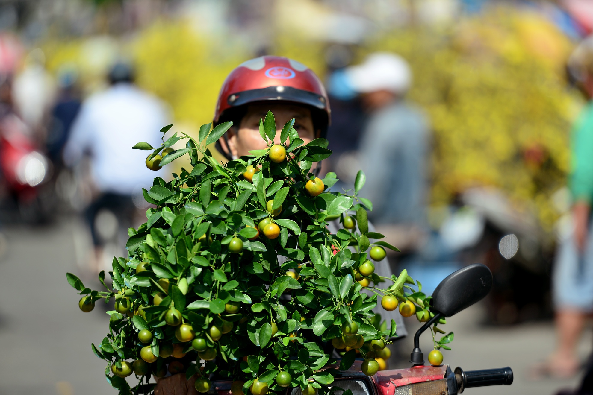 cho hoa tet sai gon anh 15