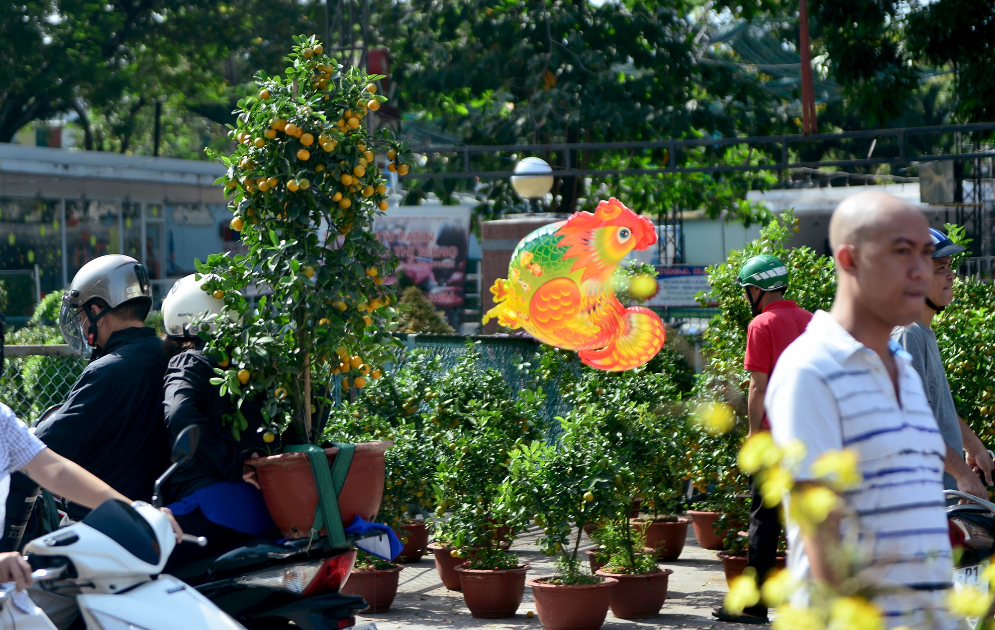 cho hoa tet sai gon anh 16