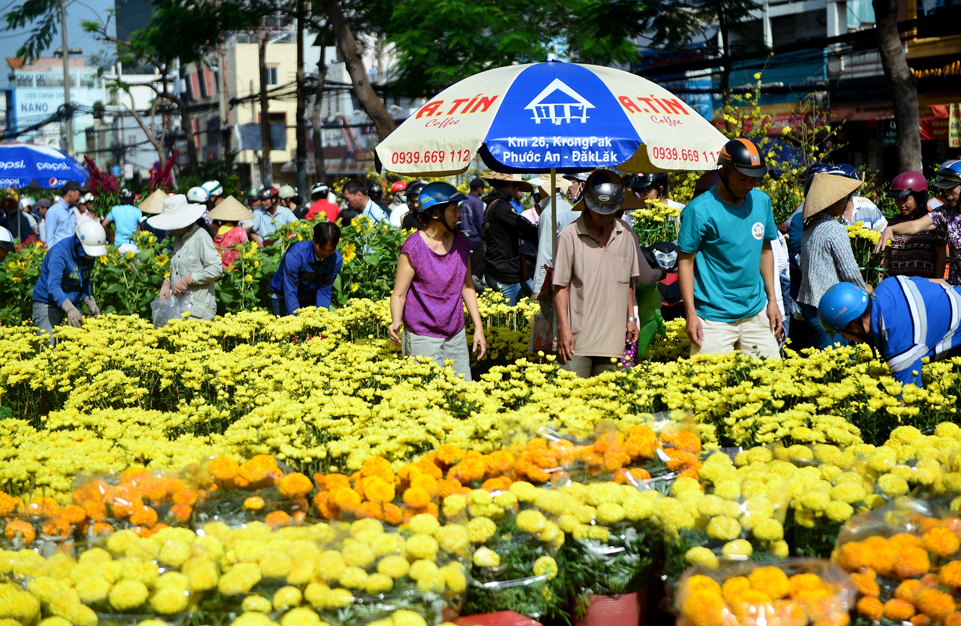 cho hoa tet sai gon anh 1