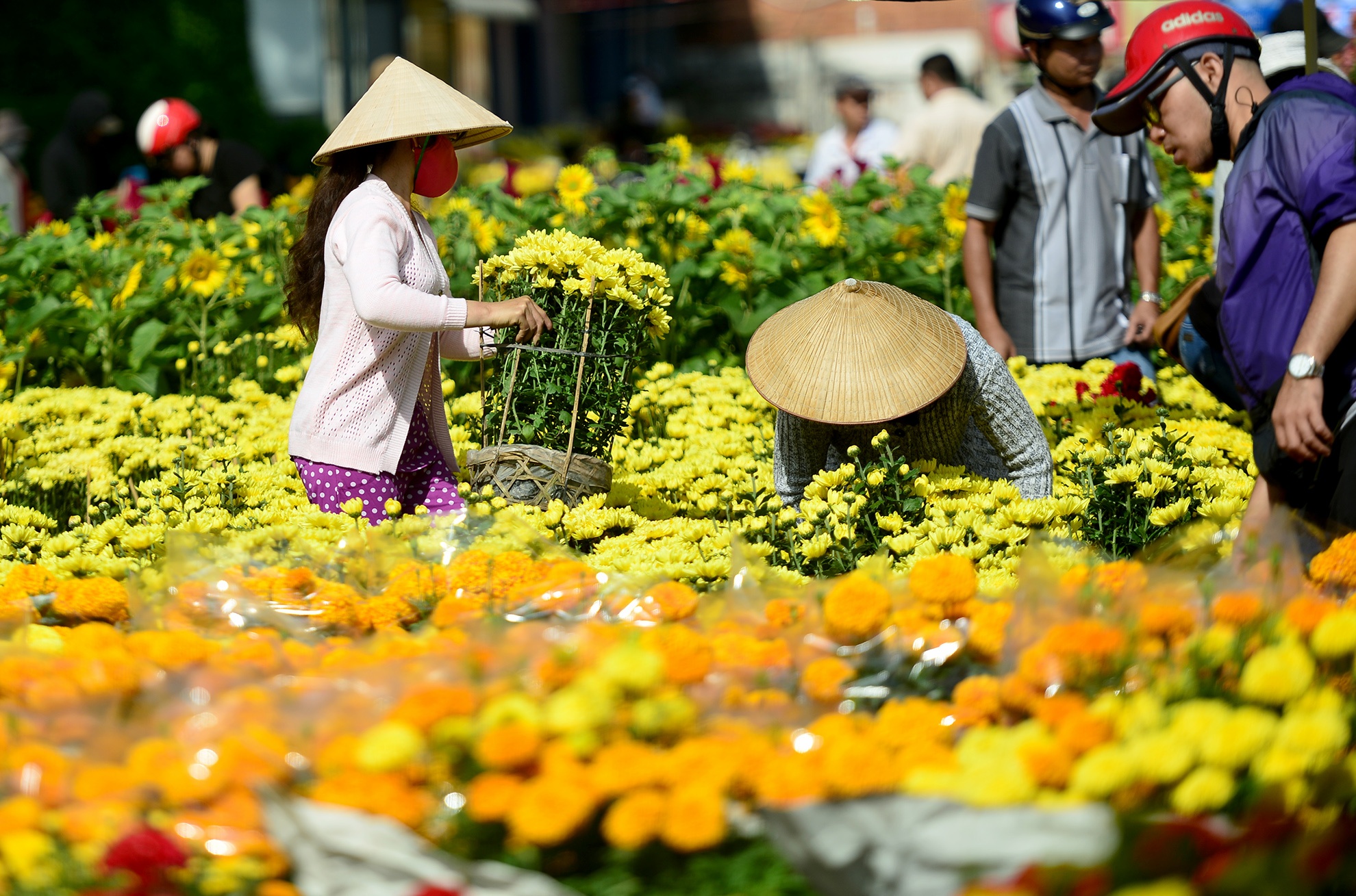 cho hoa tet sai gon anh 2