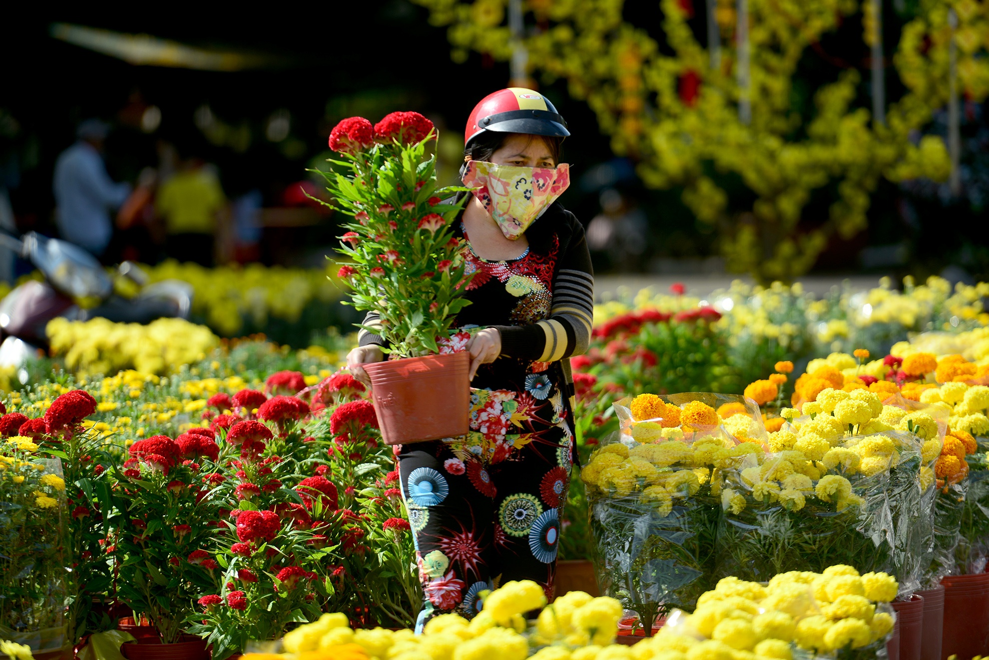 cho hoa tet sai gon anh 3