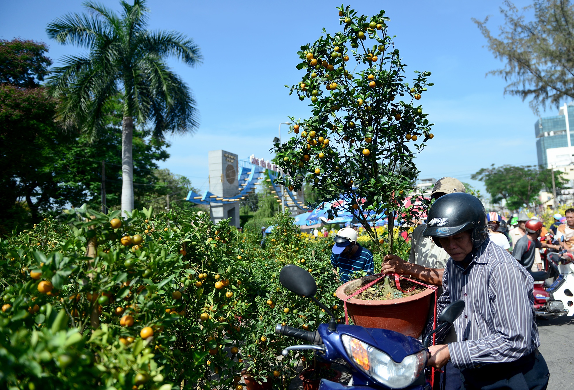 cho hoa tet sai gon anh 6