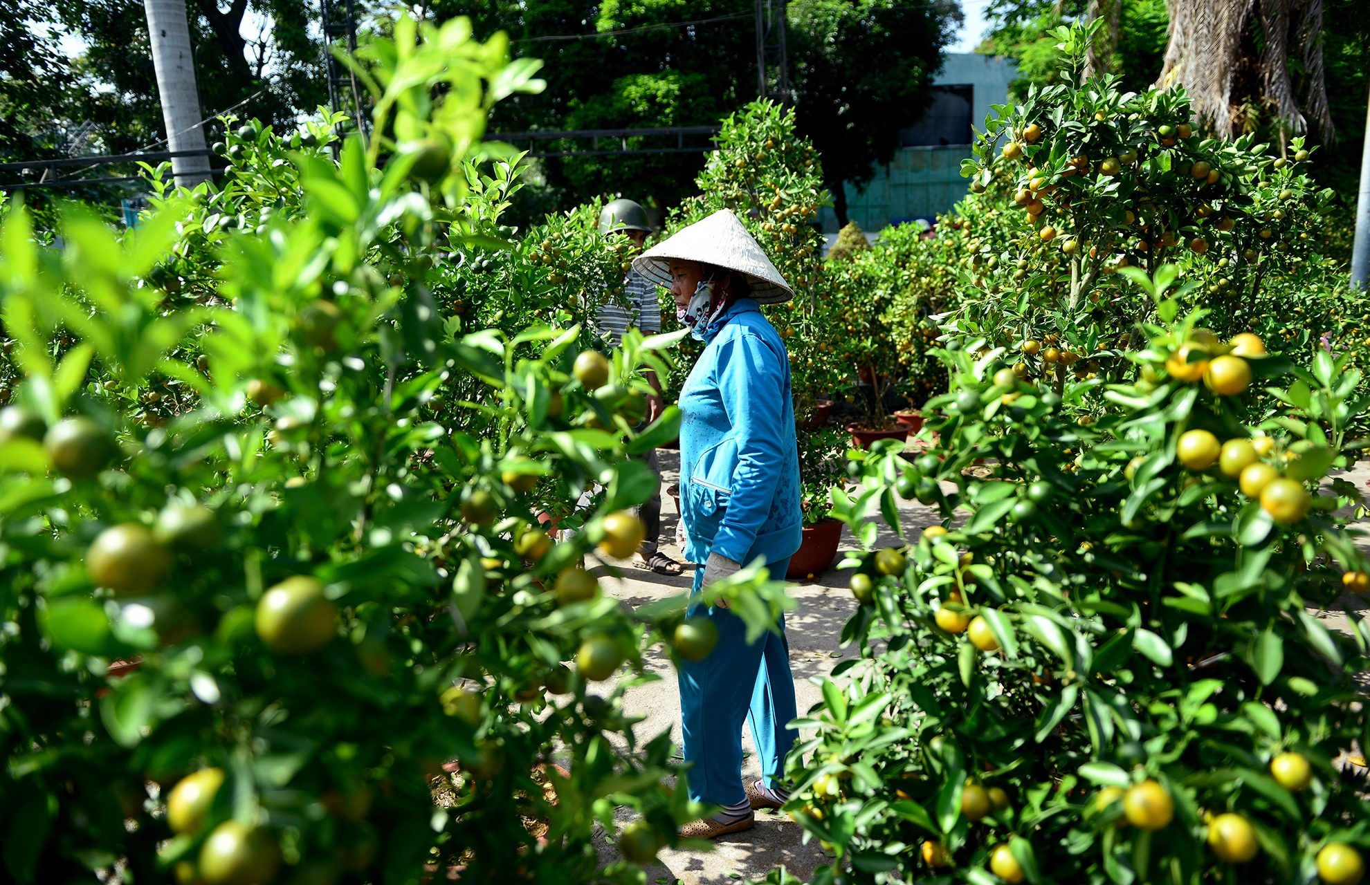 cho hoa tet sai gon anh 7