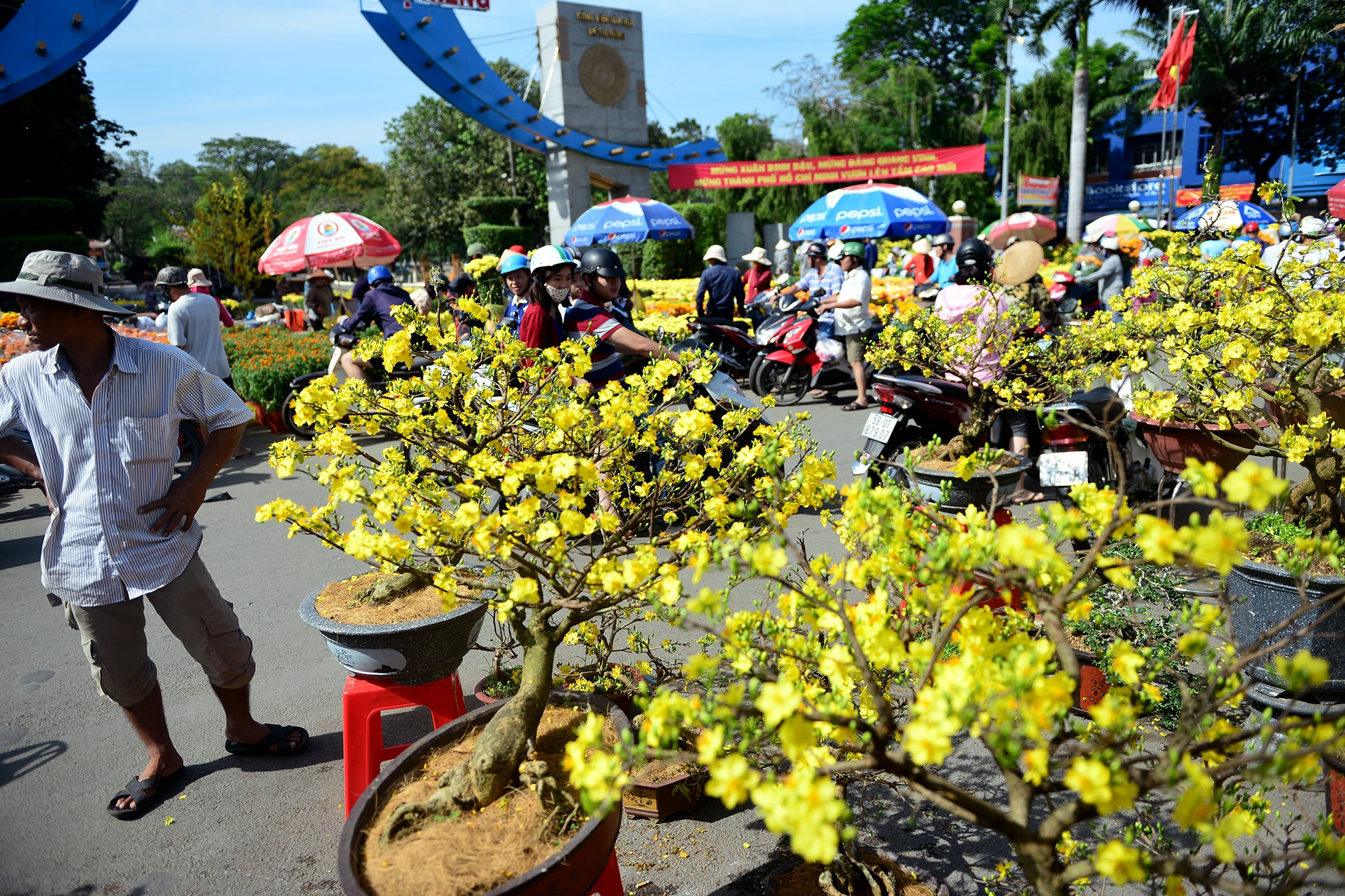cho hoa tet sai gon anh 8