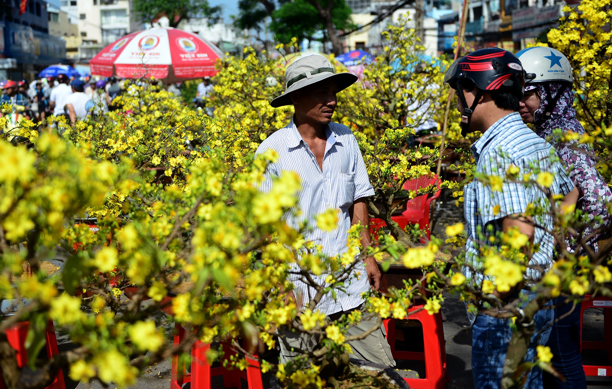 cho hoa tet sai gon anh 9