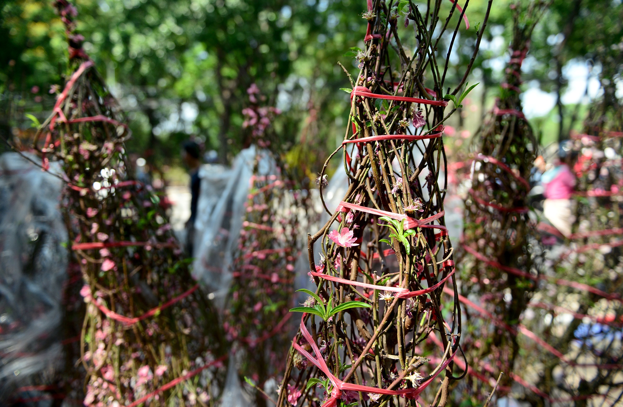 hoa Tet bi vut bo o Sai Gon anh 10