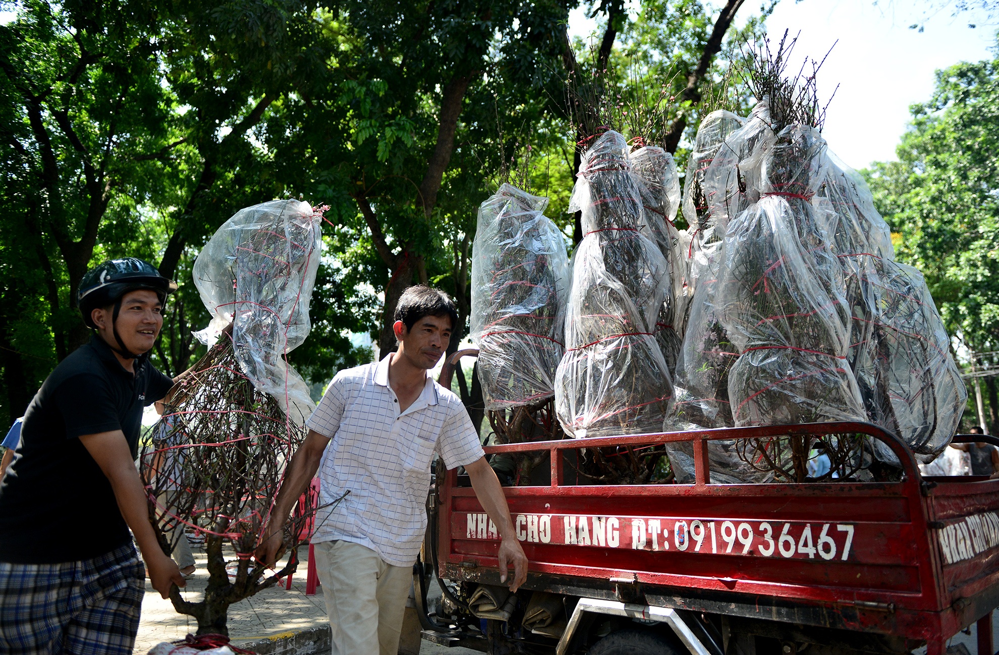 hoa Tet bi vut bo o Sai Gon anh 12