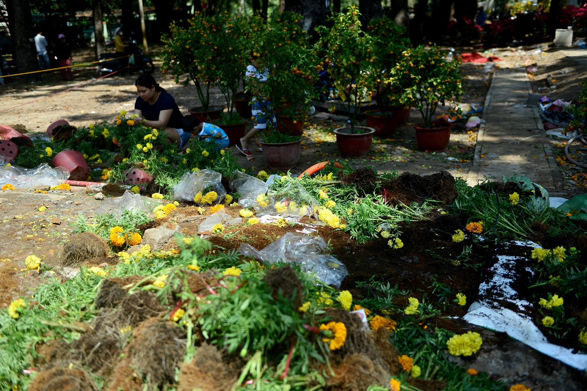 hoa Tet bi vut bo o Sai Gon anh 3