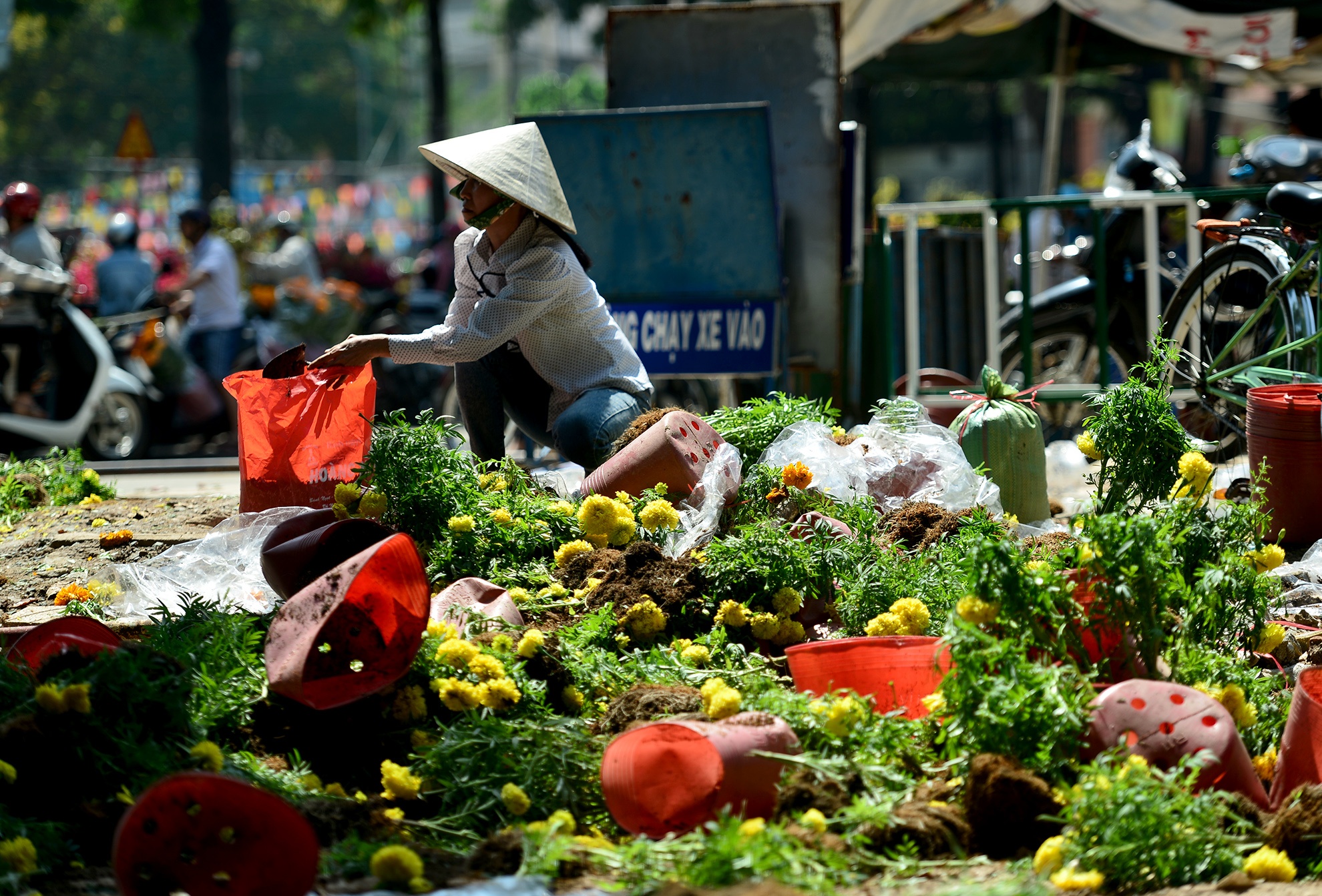 hoa Tet bi vut bo o Sai Gon anh 4