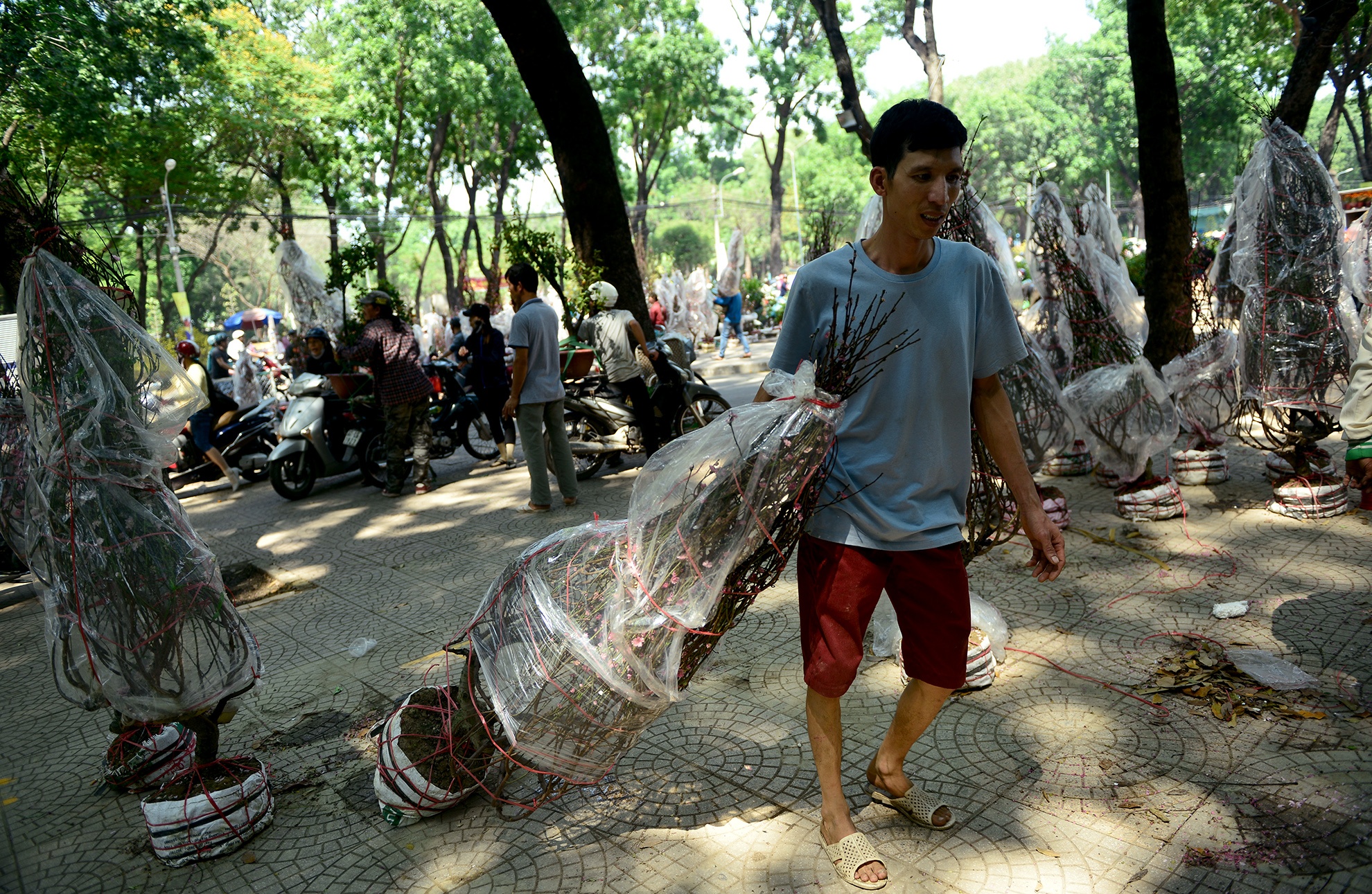 hoa Tet bi vut bo o Sai Gon anh 9