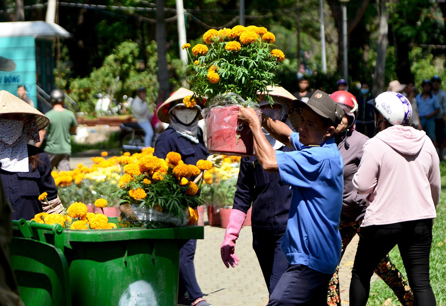 Chu vuon tu tay dap pha hoa ngay 30 Tet vi gia re hinh anh