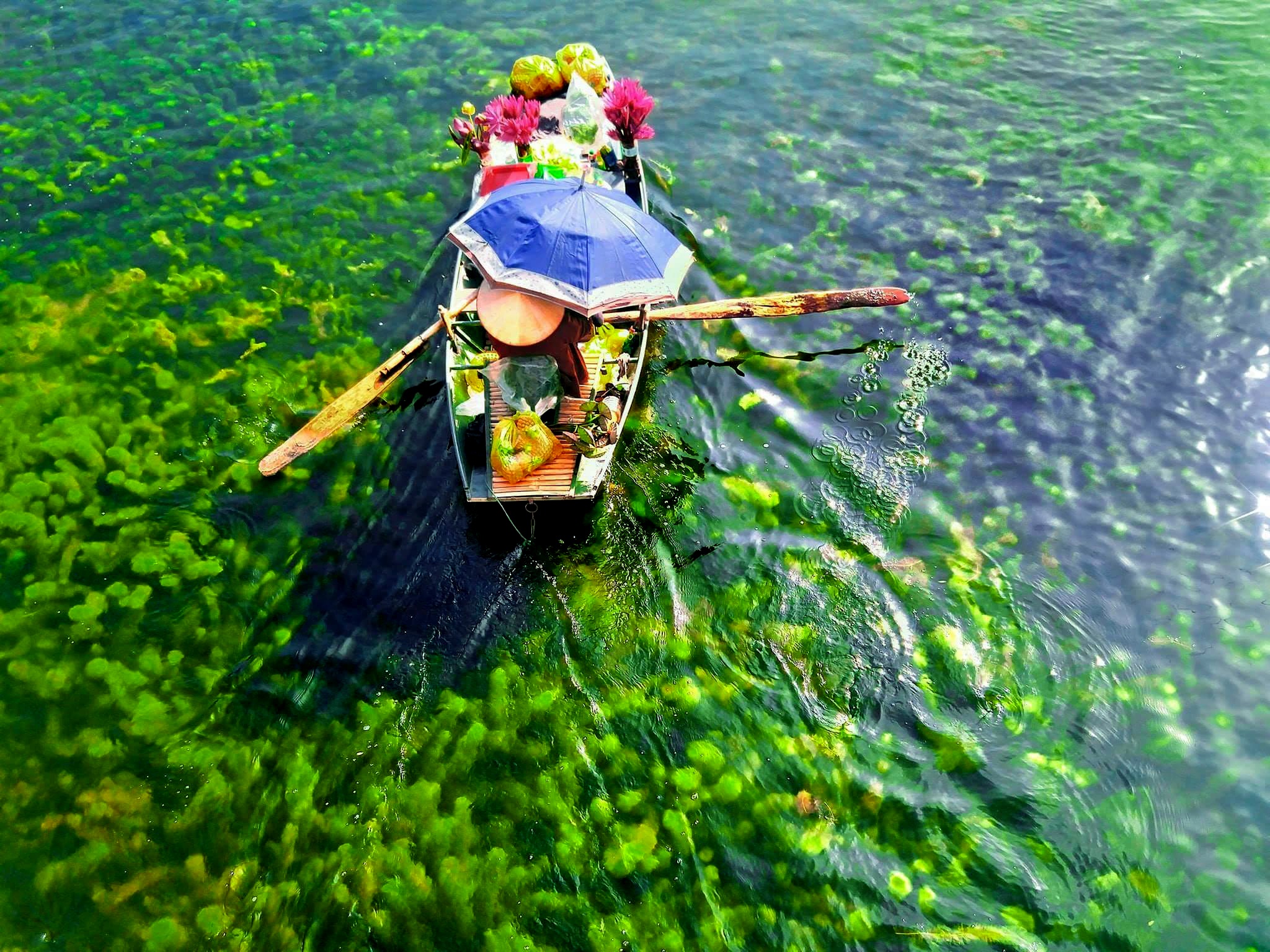 Canh dep moi mien To quoc ngay dau vong 1 cuoc thi anh Sai Gon 2018 hinh anh