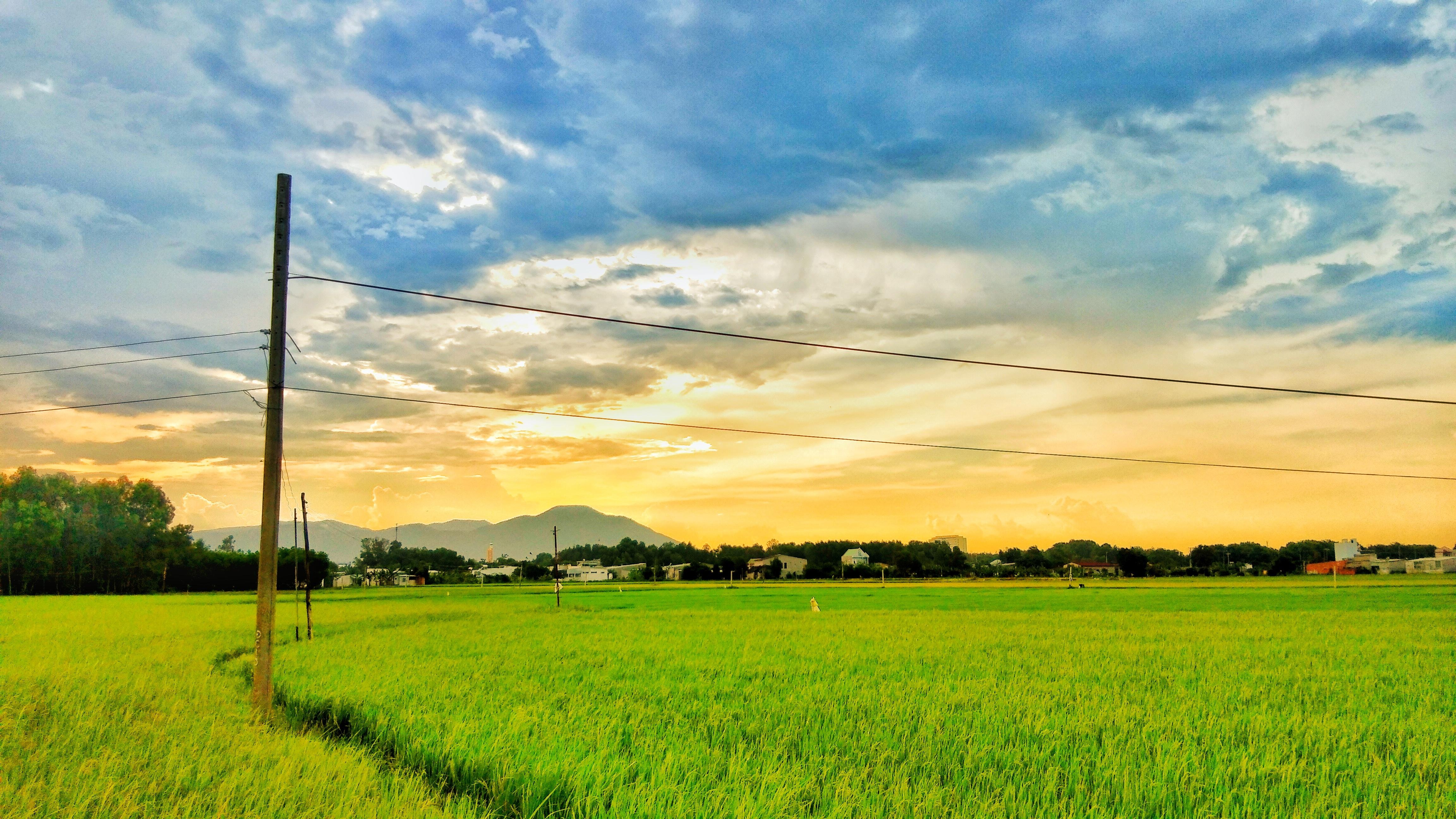 cuoc thi anh Sai Gon 2018 anh 4