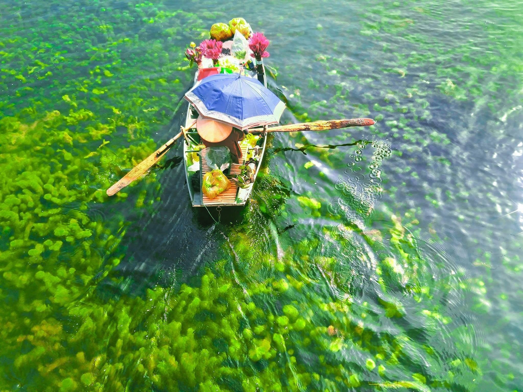 cuoc thi anh Sai Gon 2018 anh 11