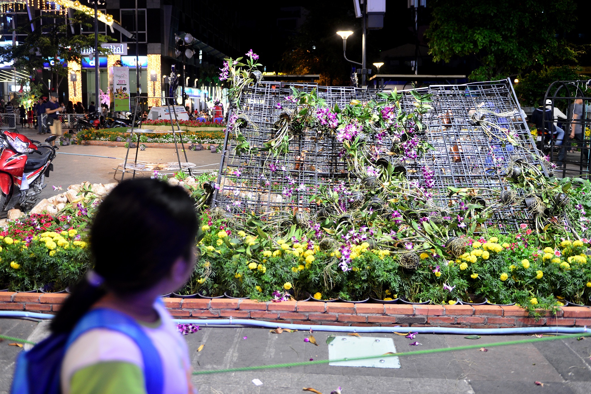 chom hoa mang ve khi duong hoa be mac anh 14